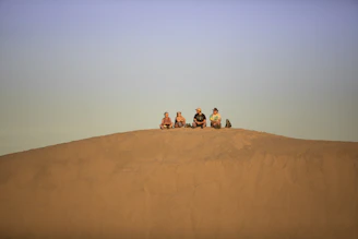 a group of people sitting on a sand dune