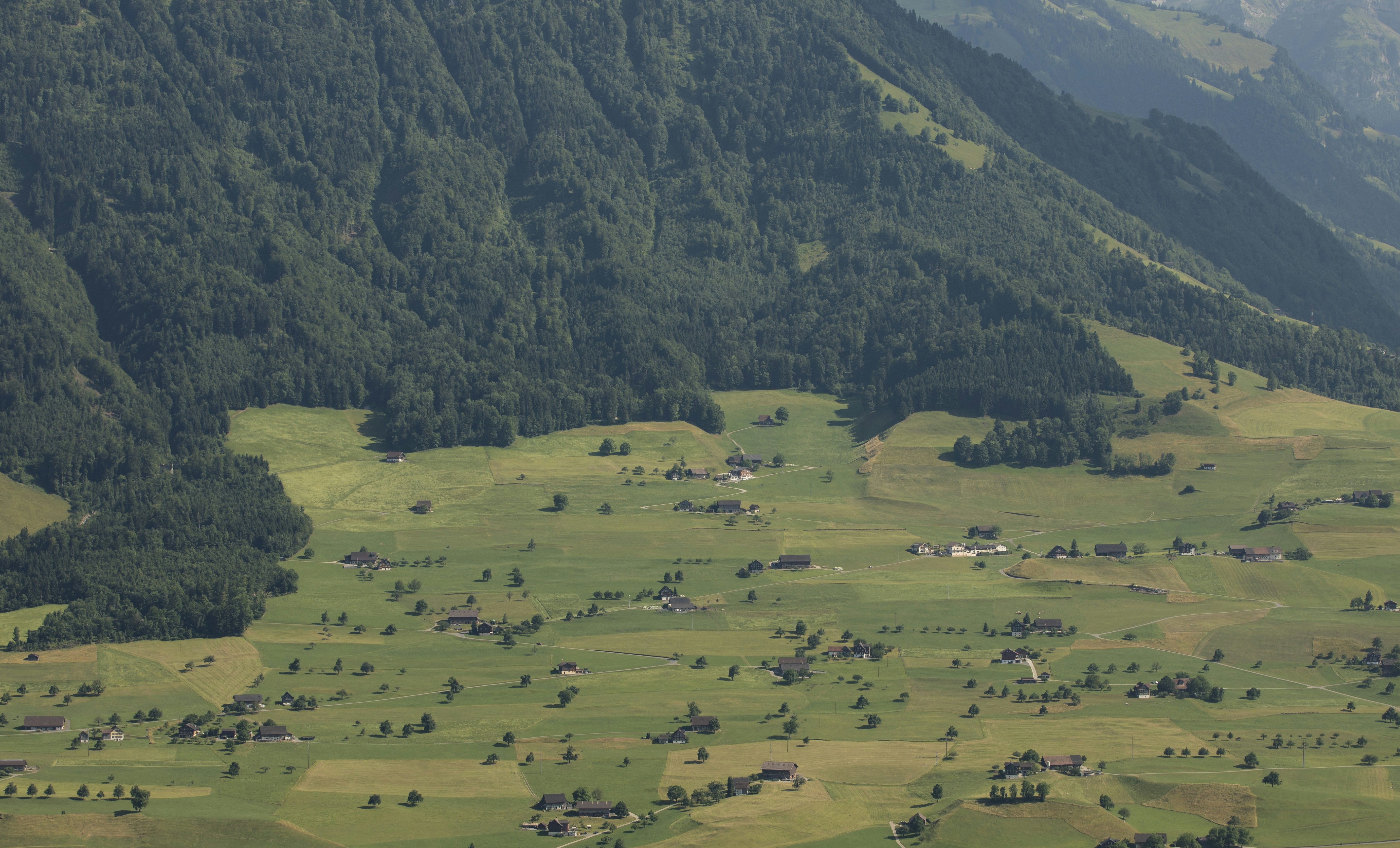 Photo by leo_visions_