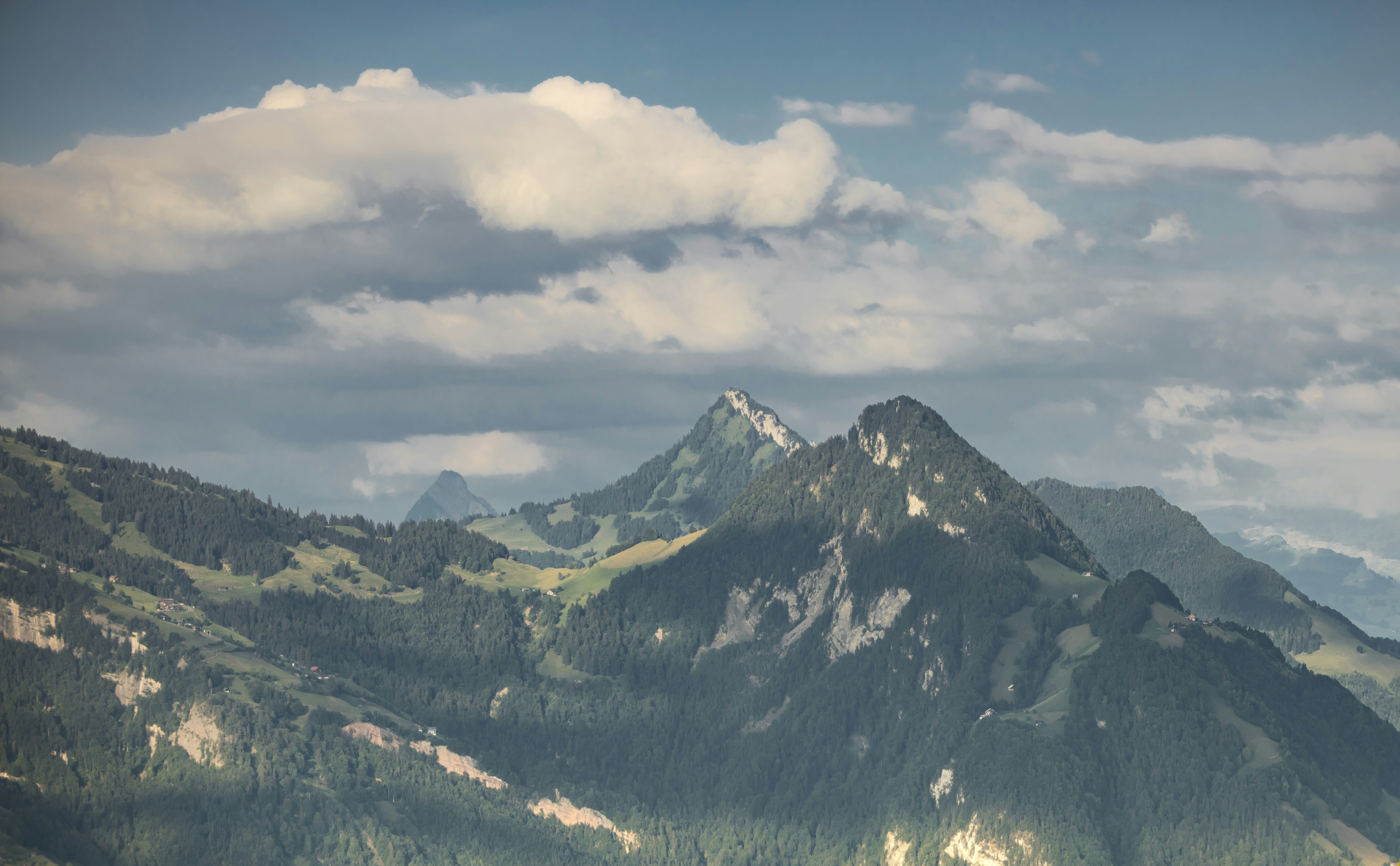 Photo by leo_visions_