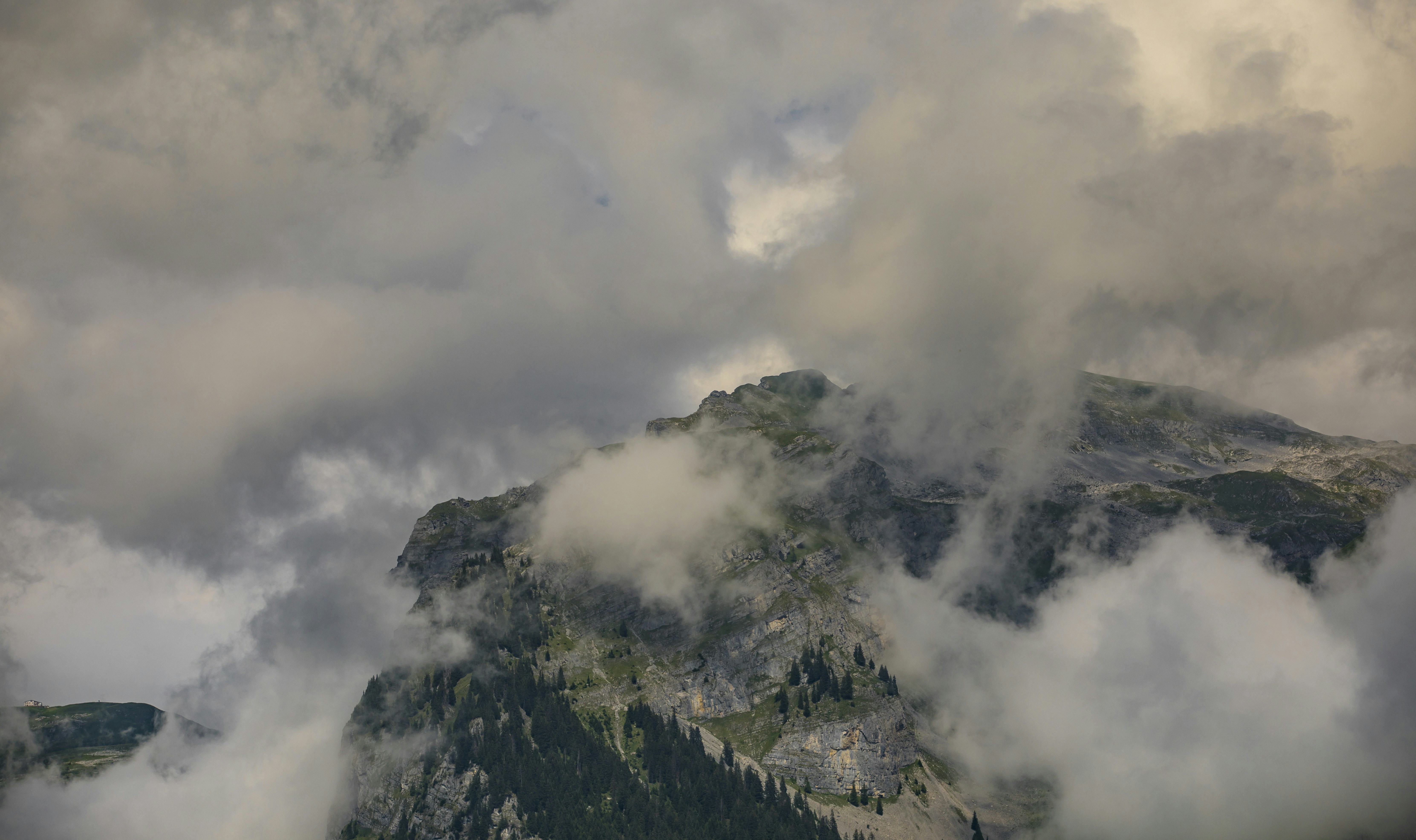 Photo by leo_visions_