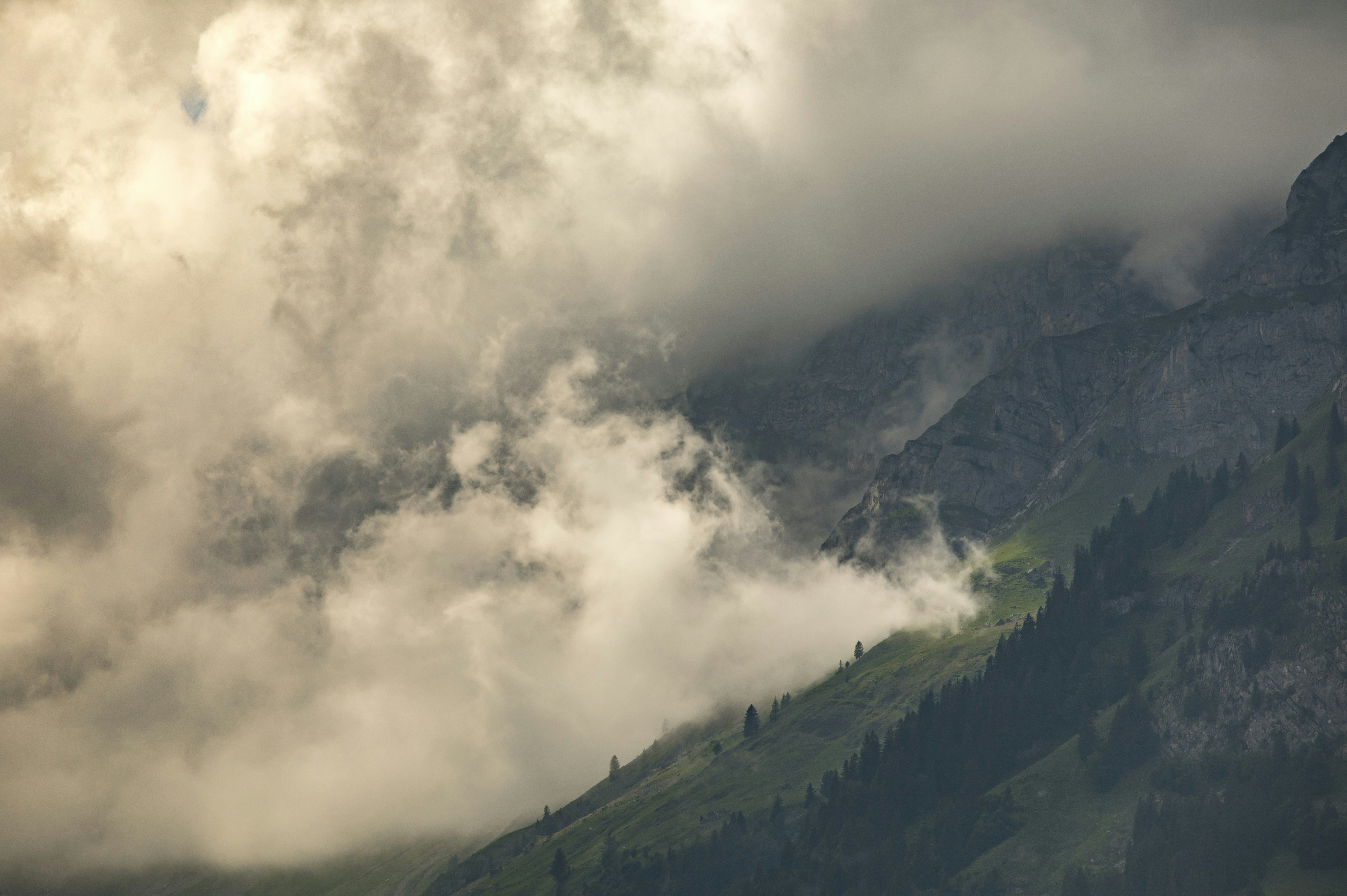 Photo by leo_visions_