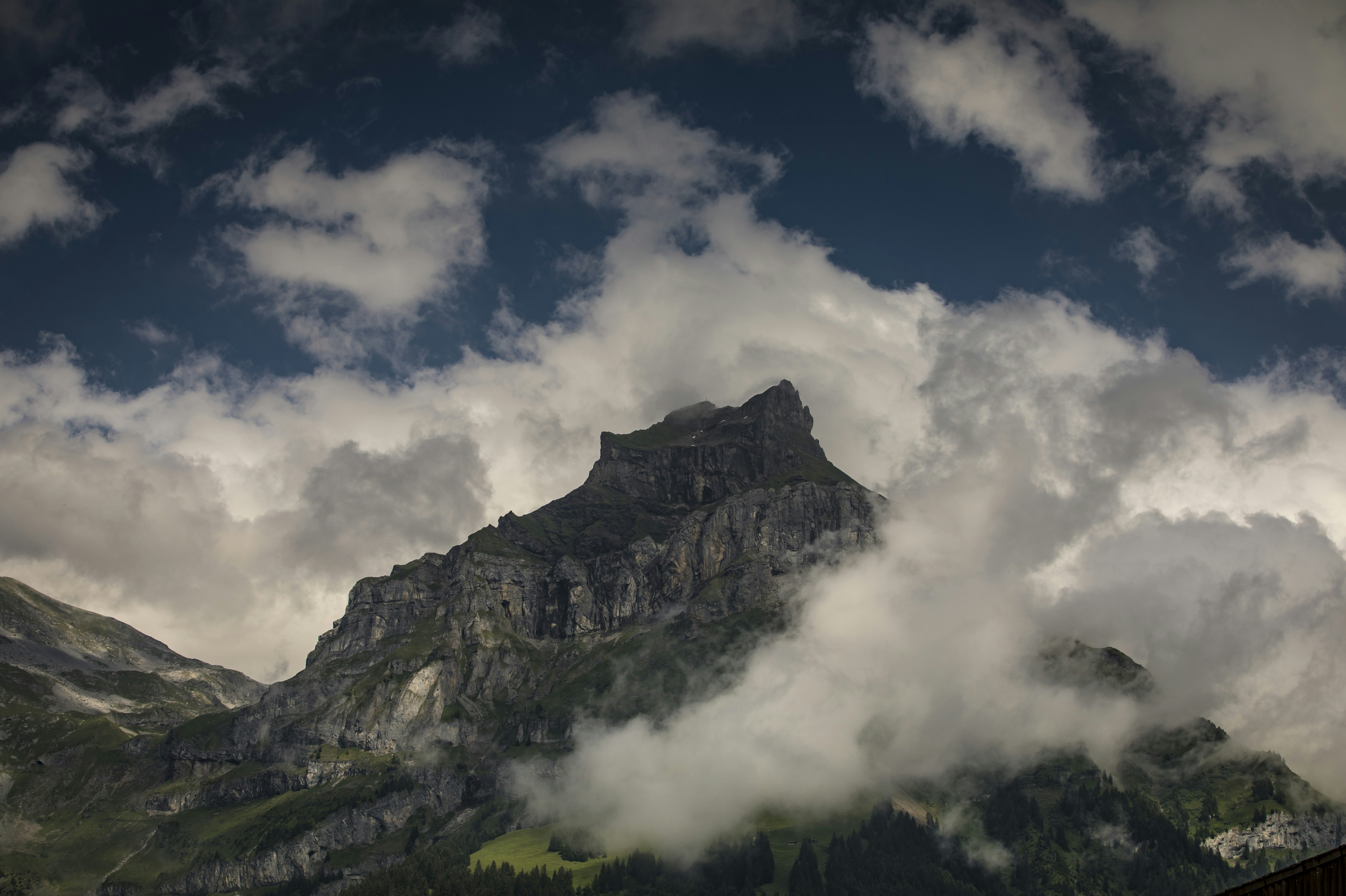 Photo by leo_visions_