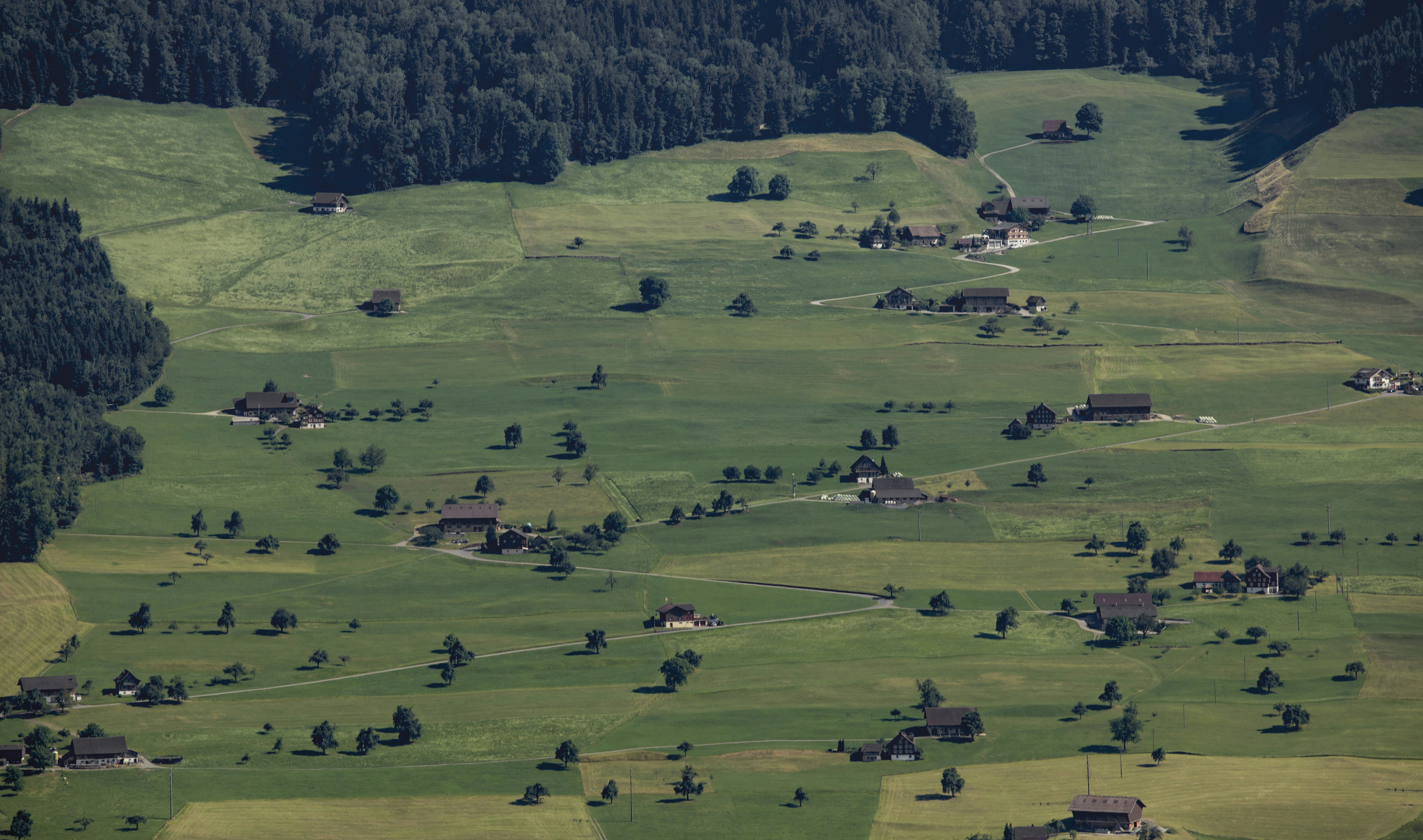 Photo by leo_visions_