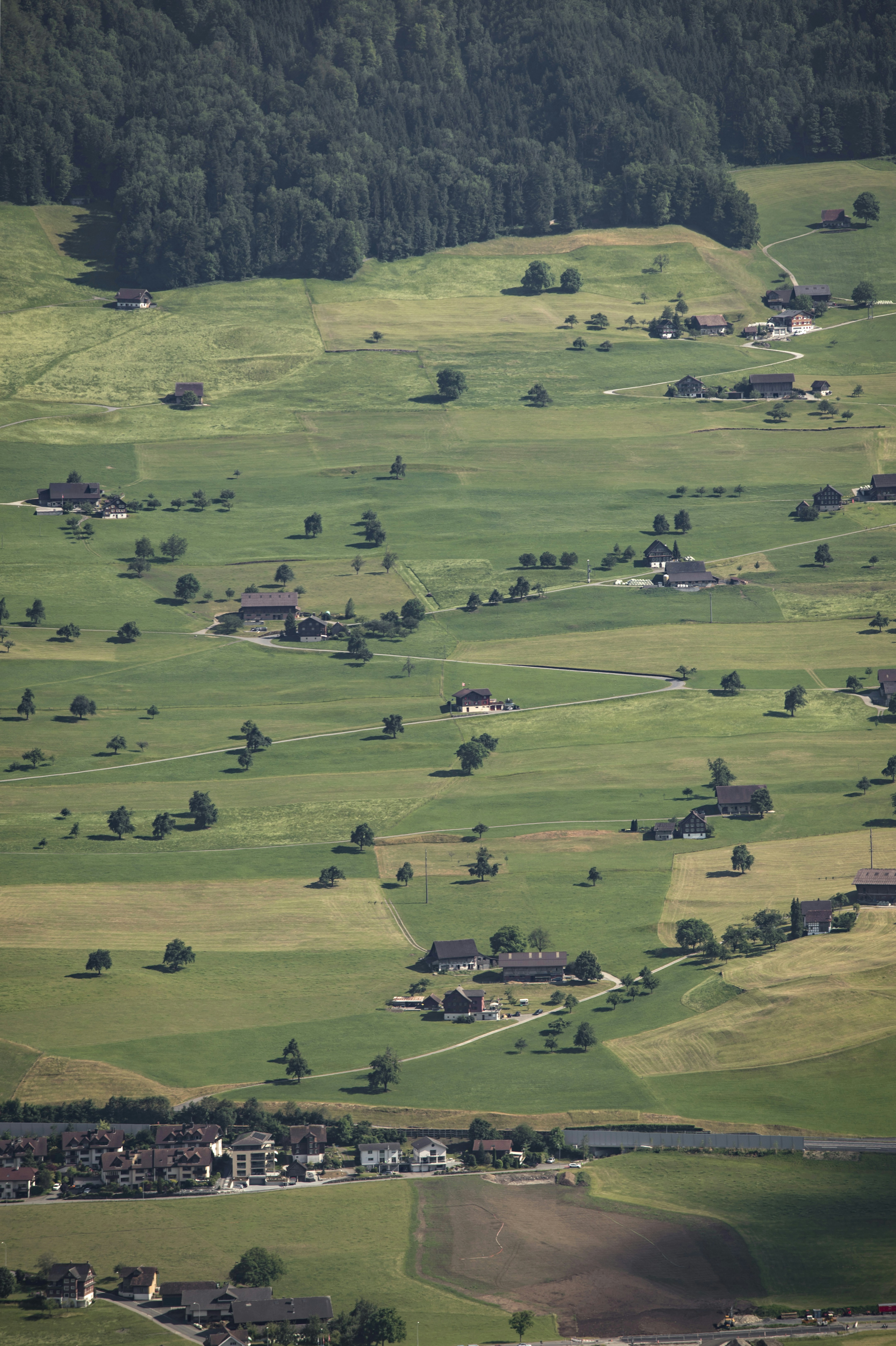 Photo by leo_visions_