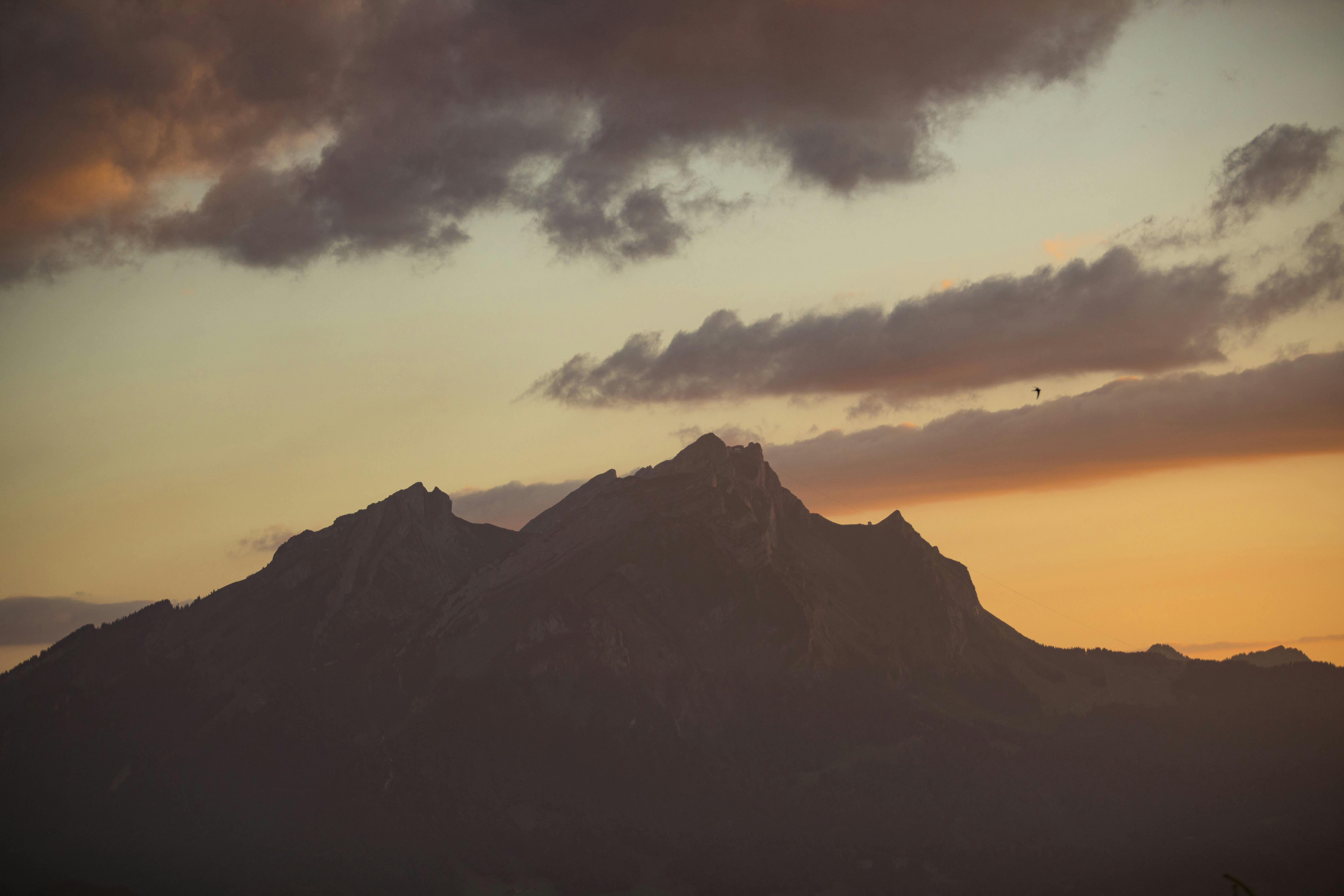 Photo by leo_visions_