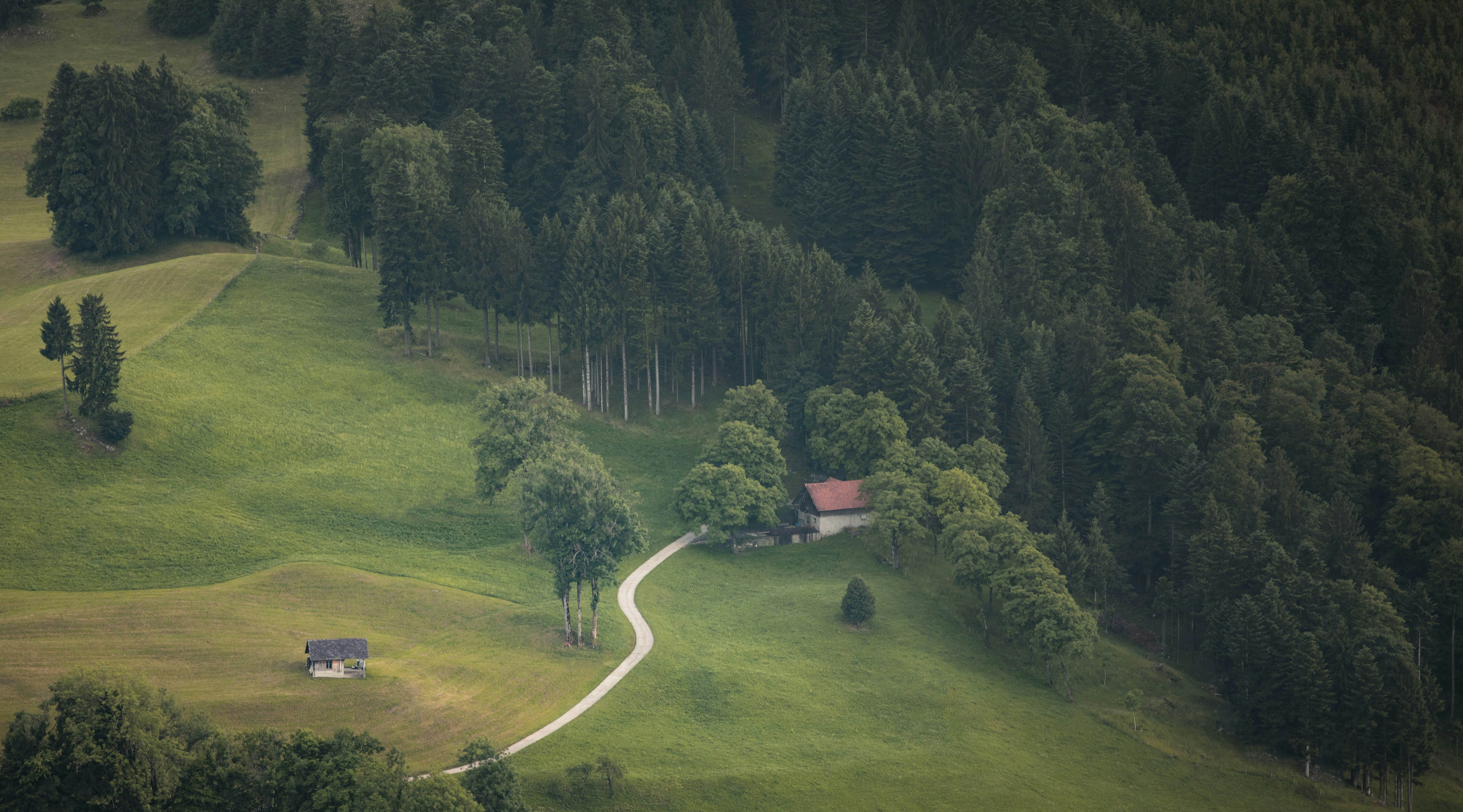 Photo by leo_visions_