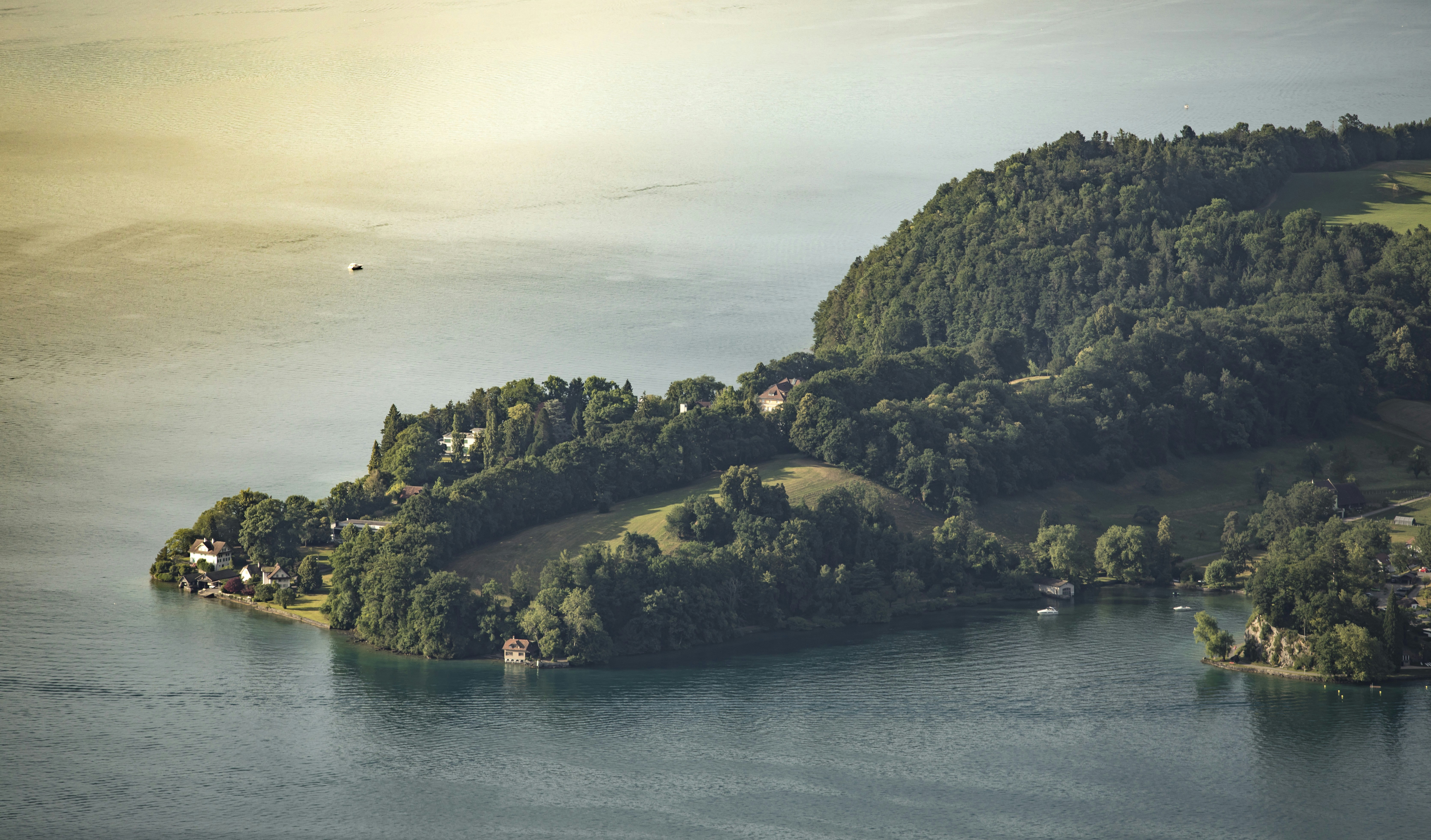 Photo by leo_visions_