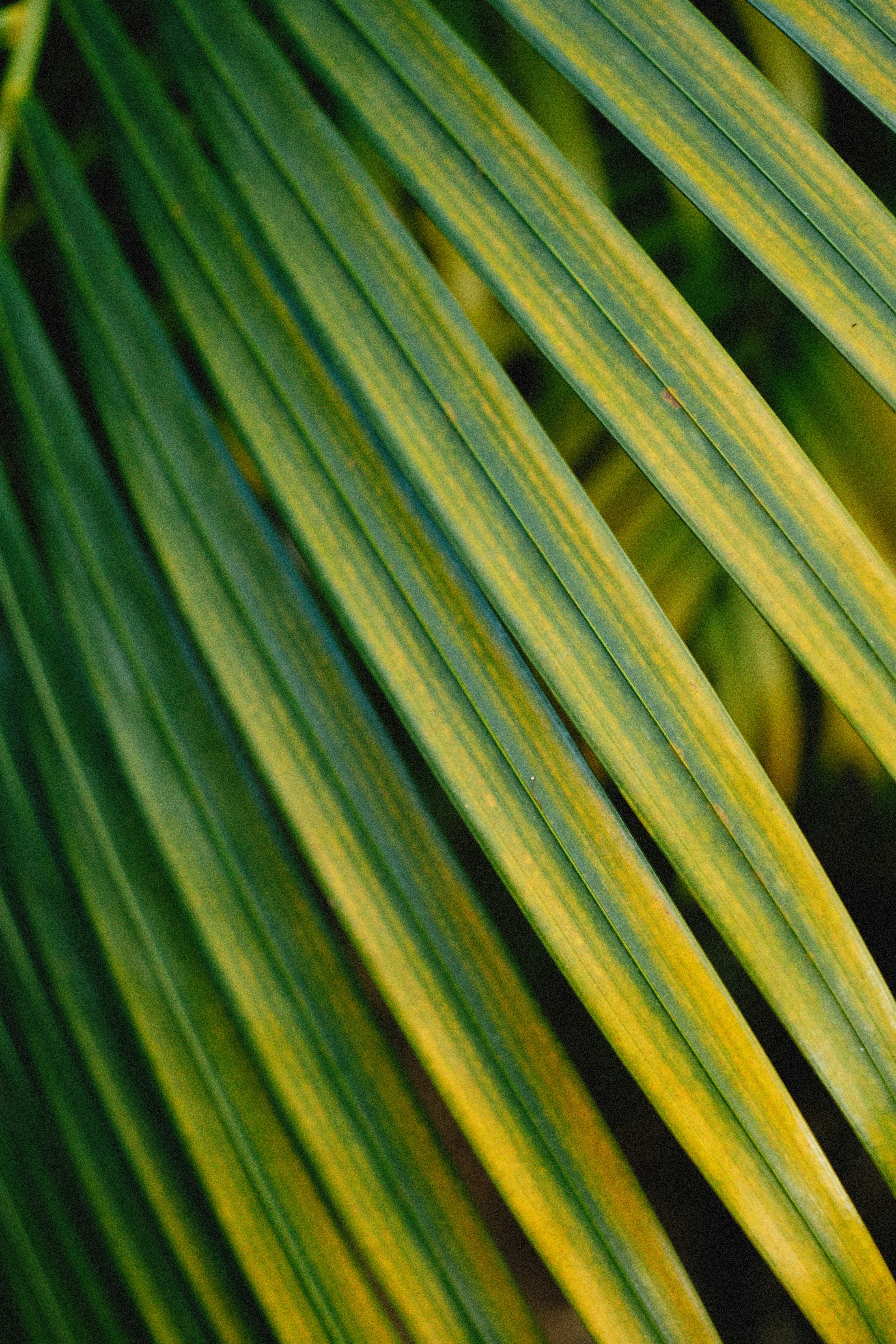 Photo by alexeydemidov