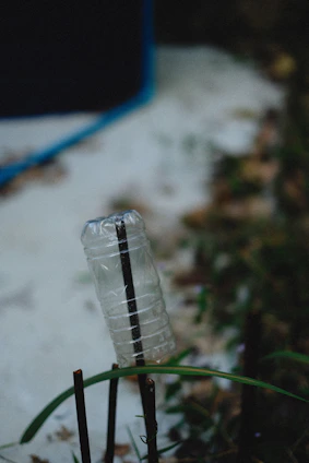 A close-up of the blue bottle cap and white drip connector attached to a birch tree, with clear tubing leading into a sealed bottle.