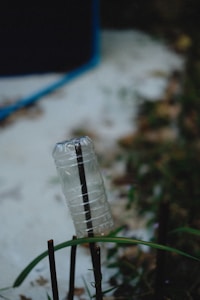 Bio Fertilizer