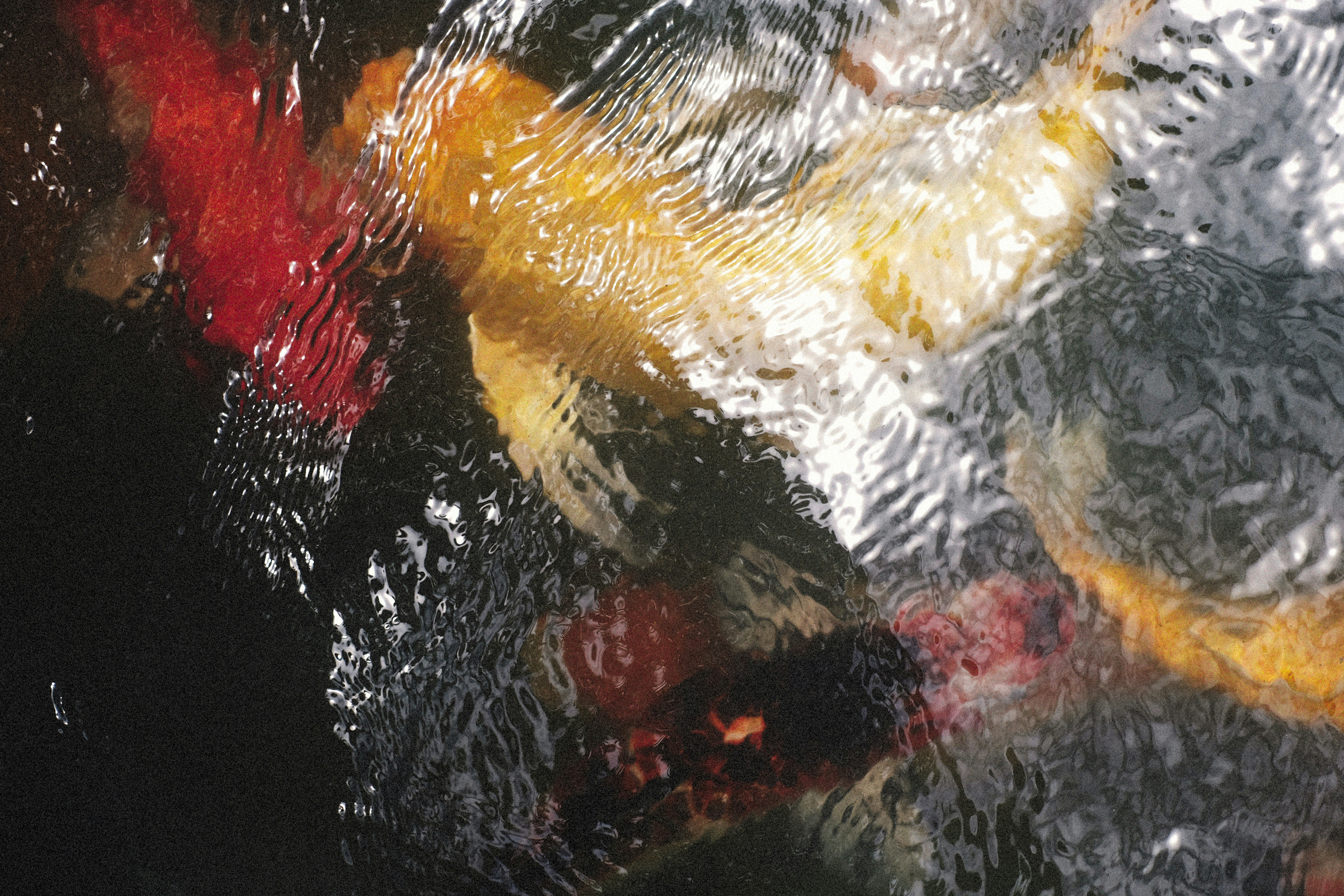 Photo by alexeydemidov