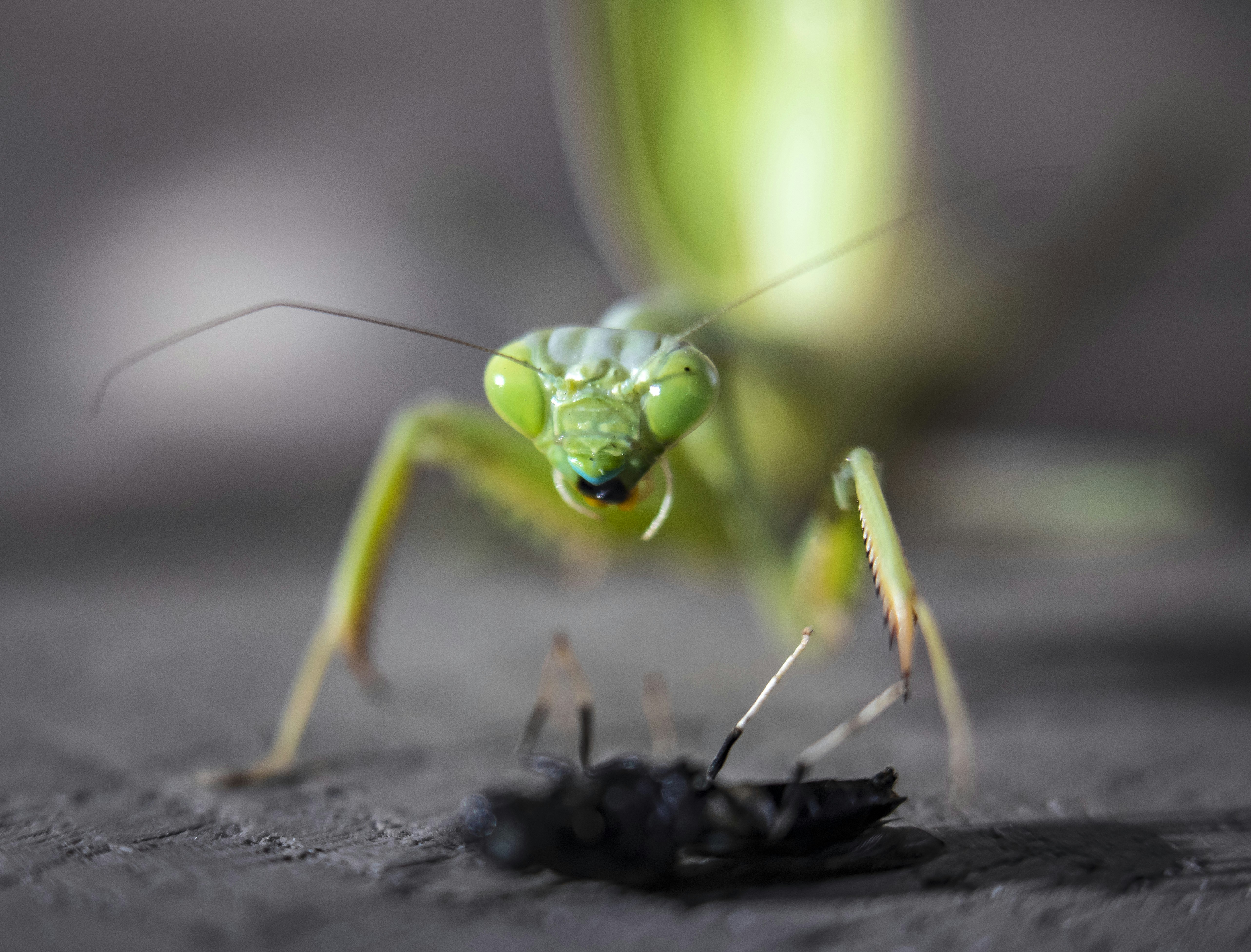 Photo by leo_visions_