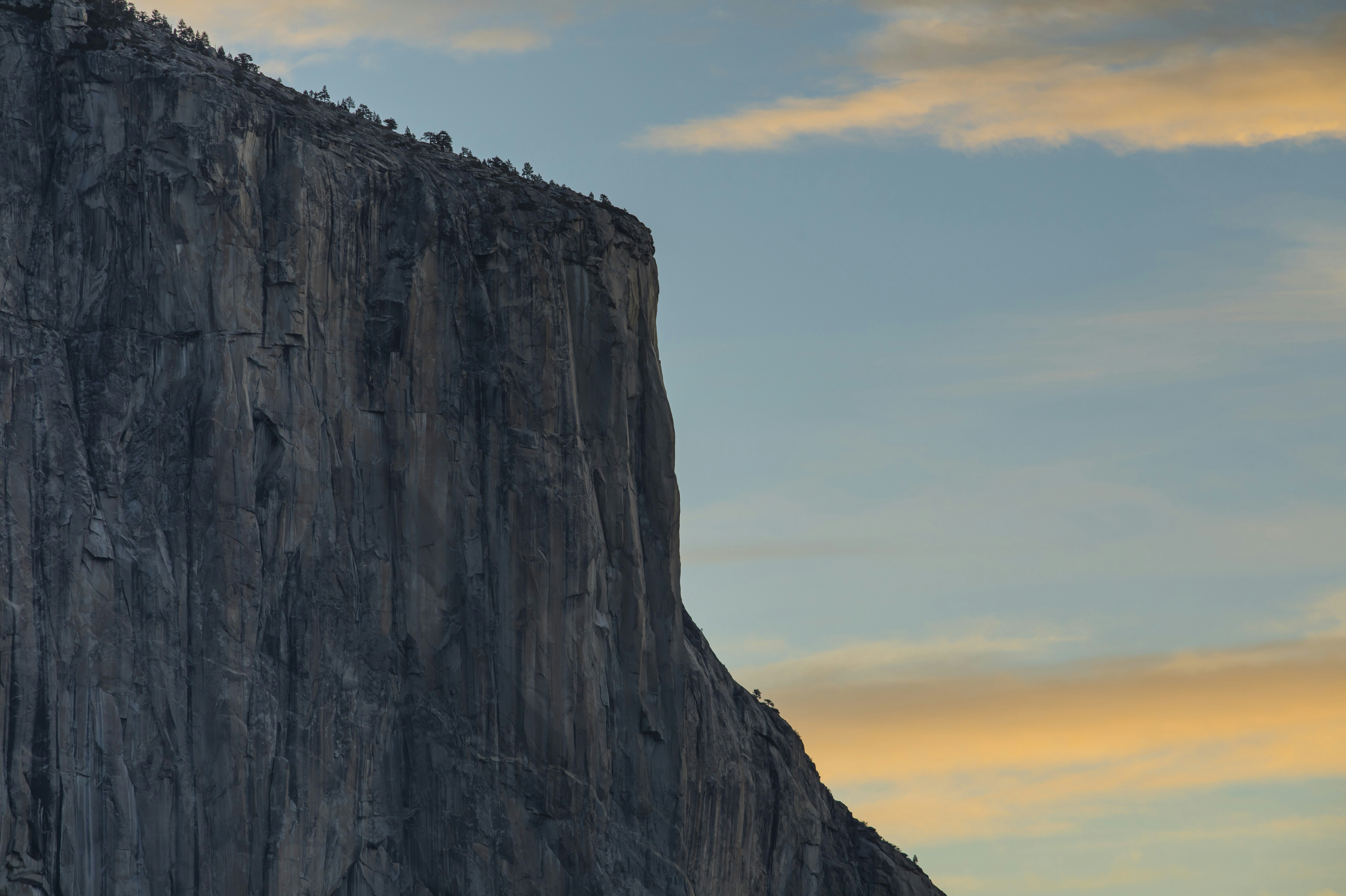 Photo by leo_visions_