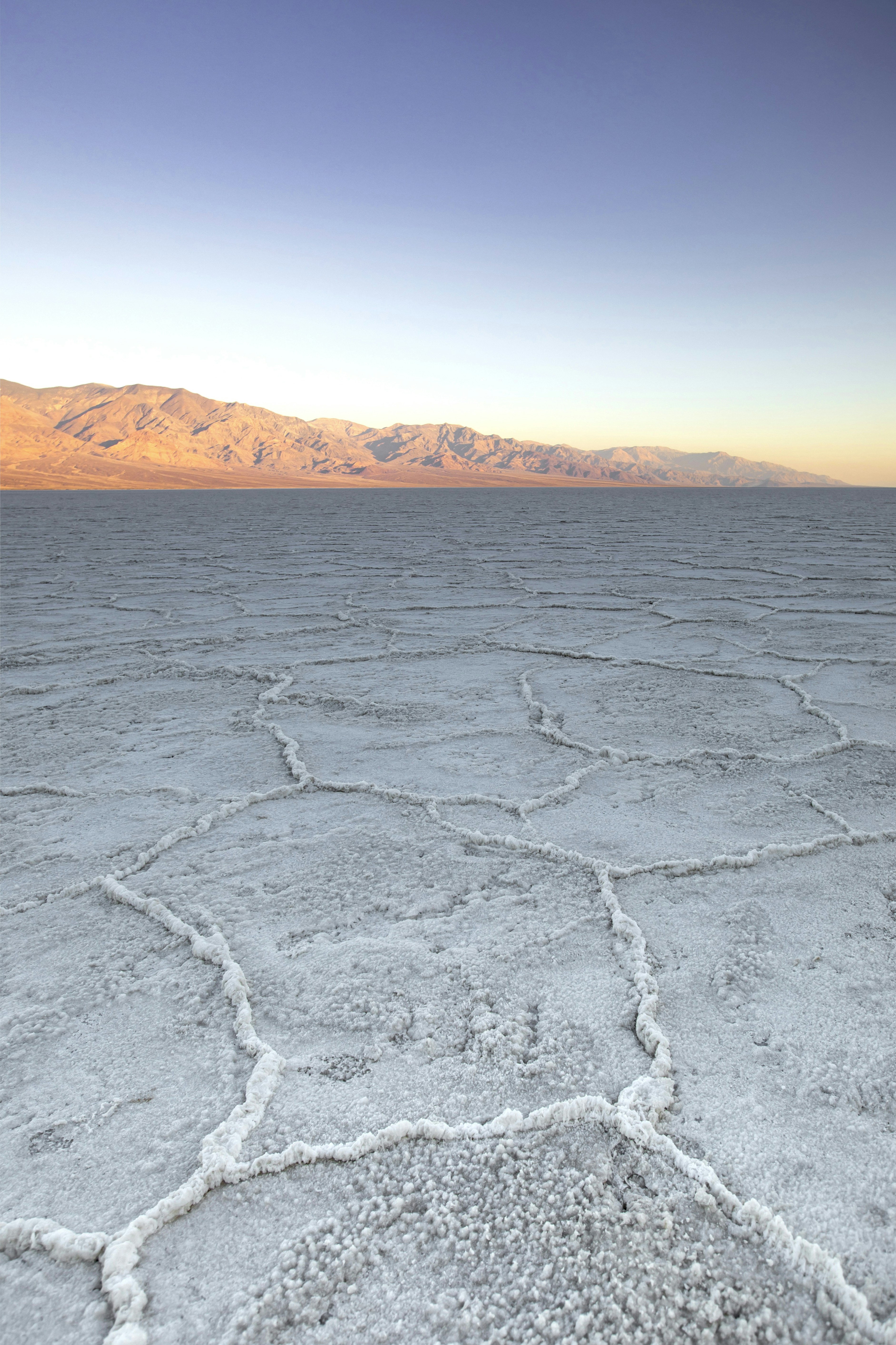 Photo by leo_visions_