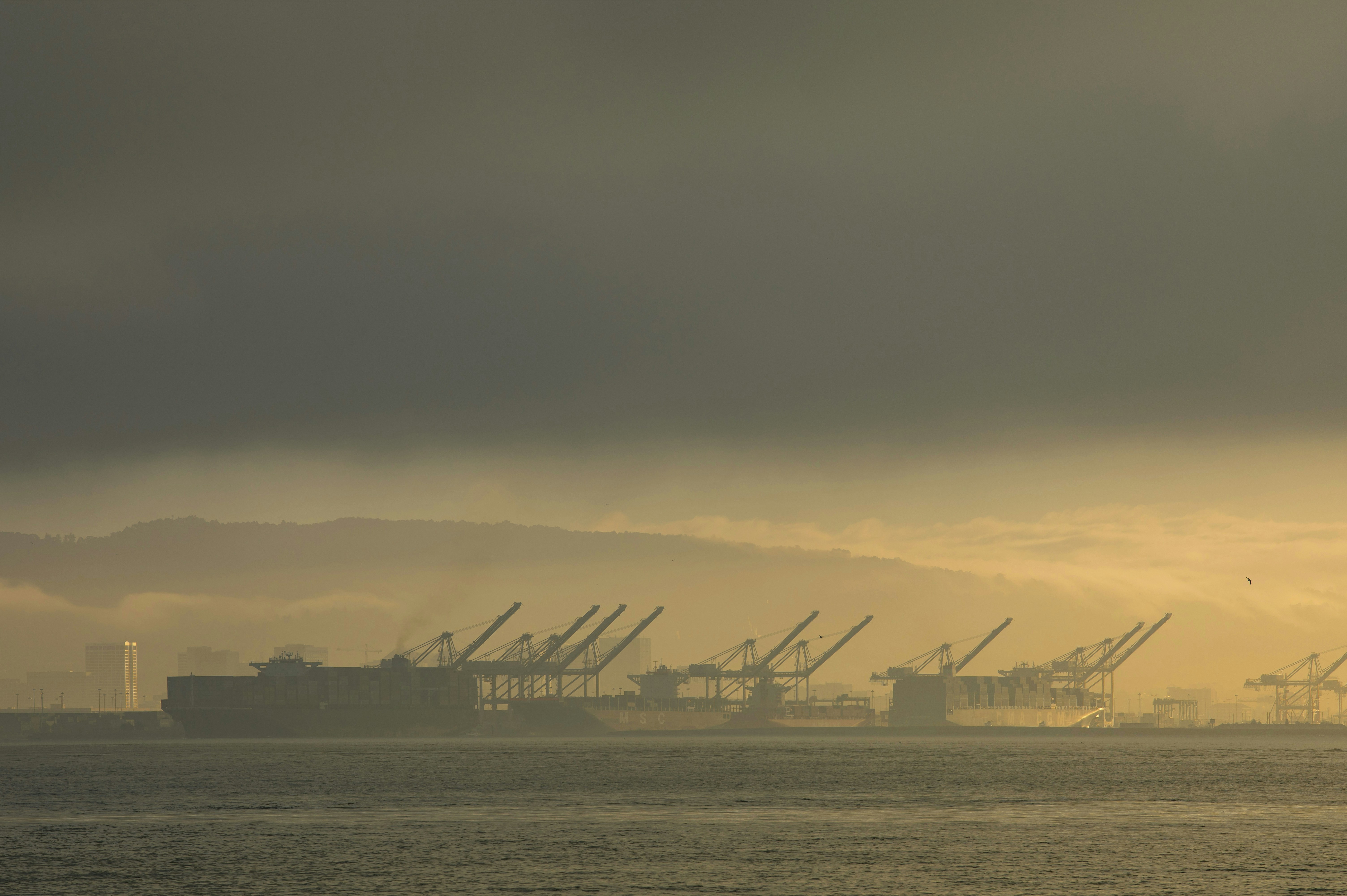 Photo by leo_visions_