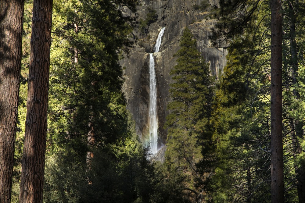 a waterfall in a forest