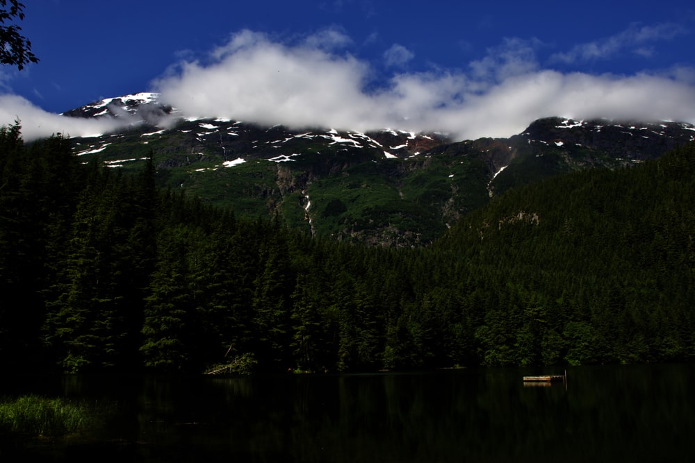 a lake surrounded by trees and mountains