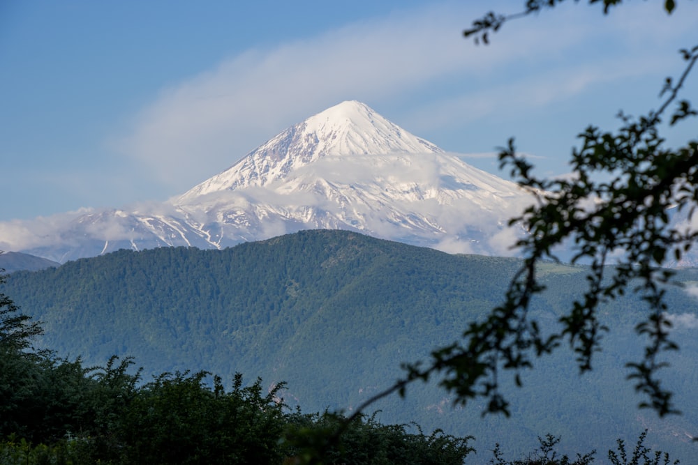 a snowy mountain with trees