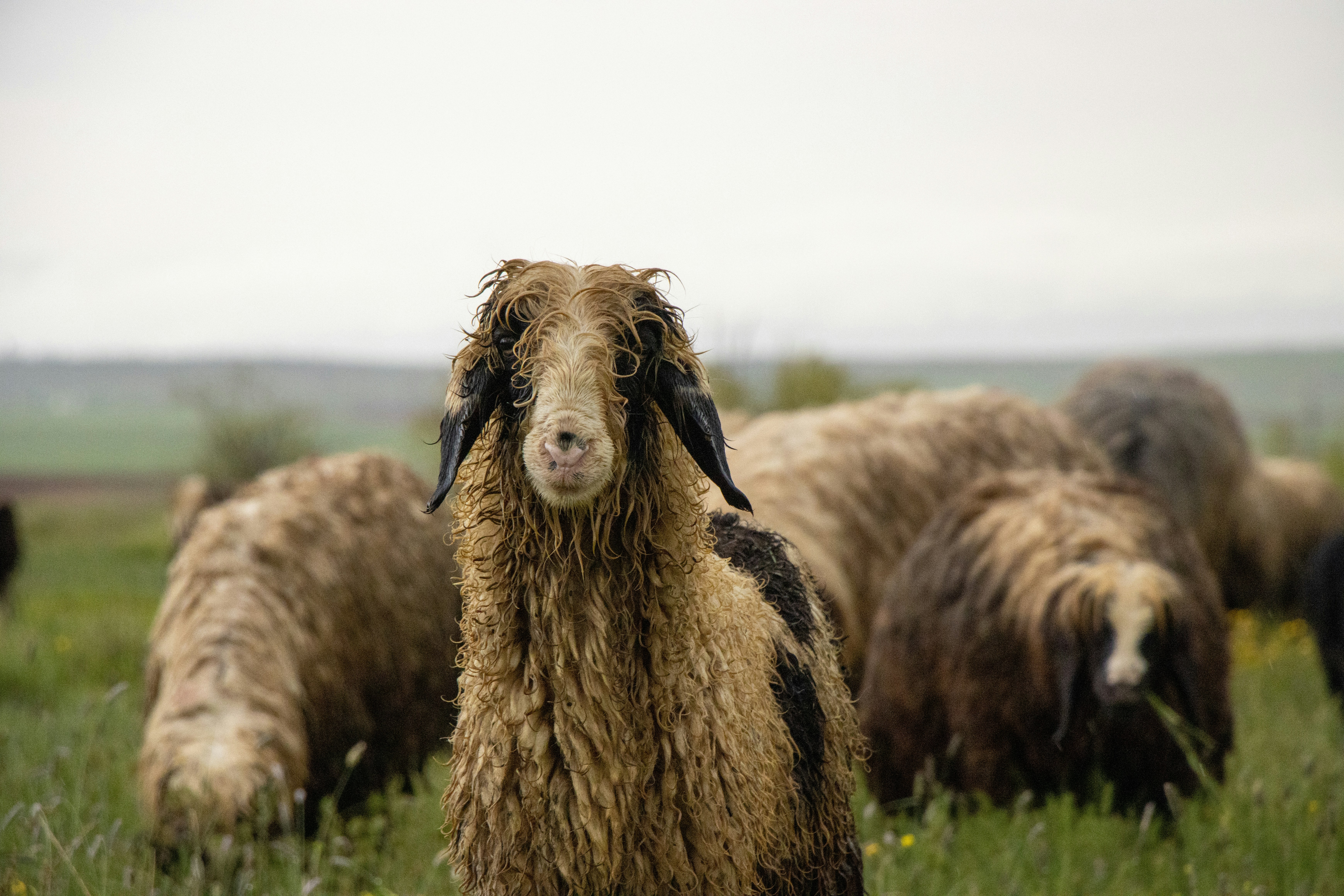 Photo by bmohsenzadeh