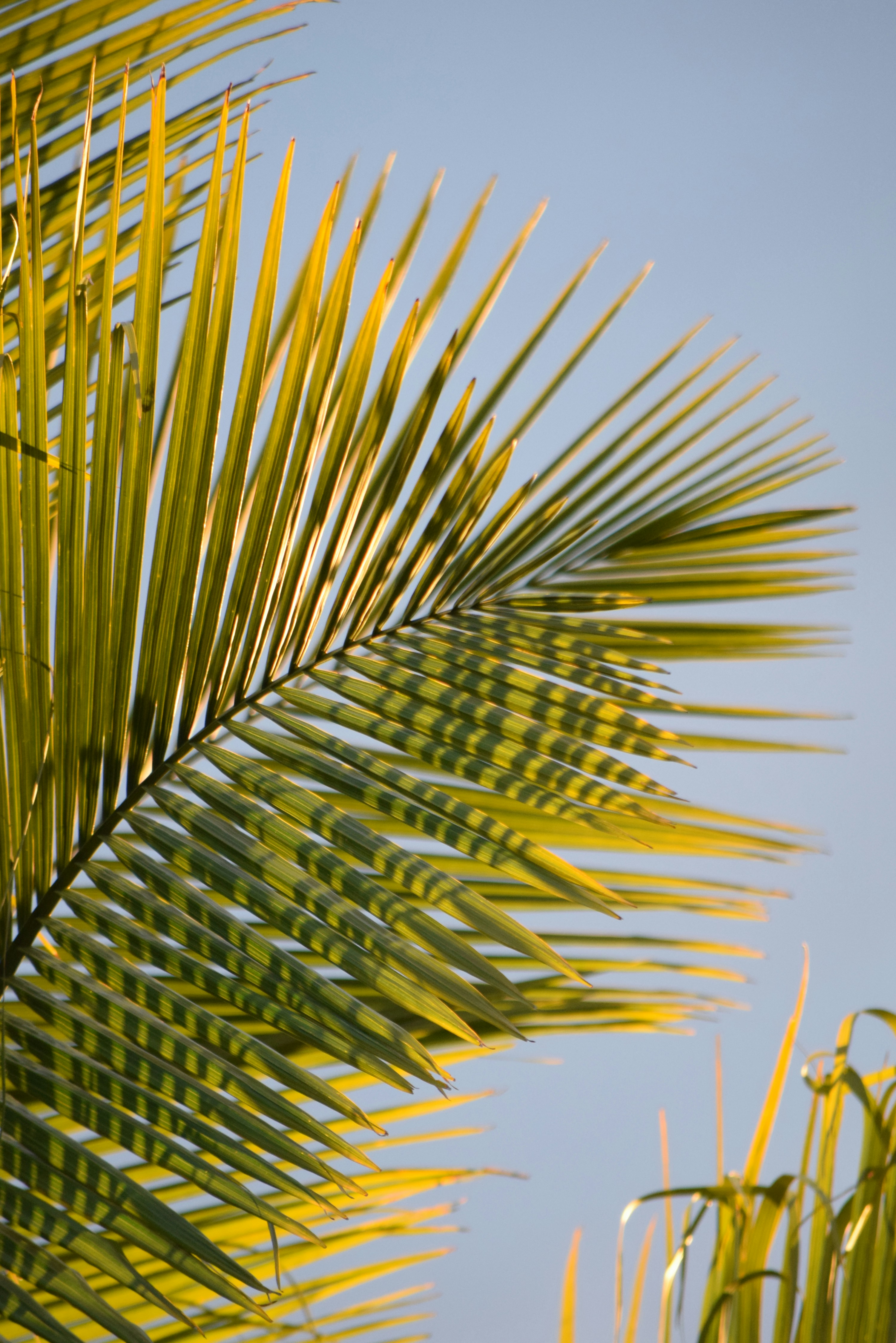 Photo by ch_photography