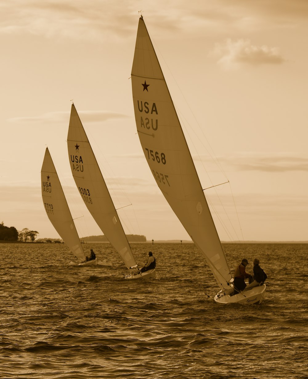 a group of people on sailboats