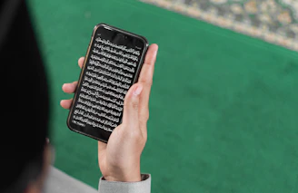 a person holding a phone