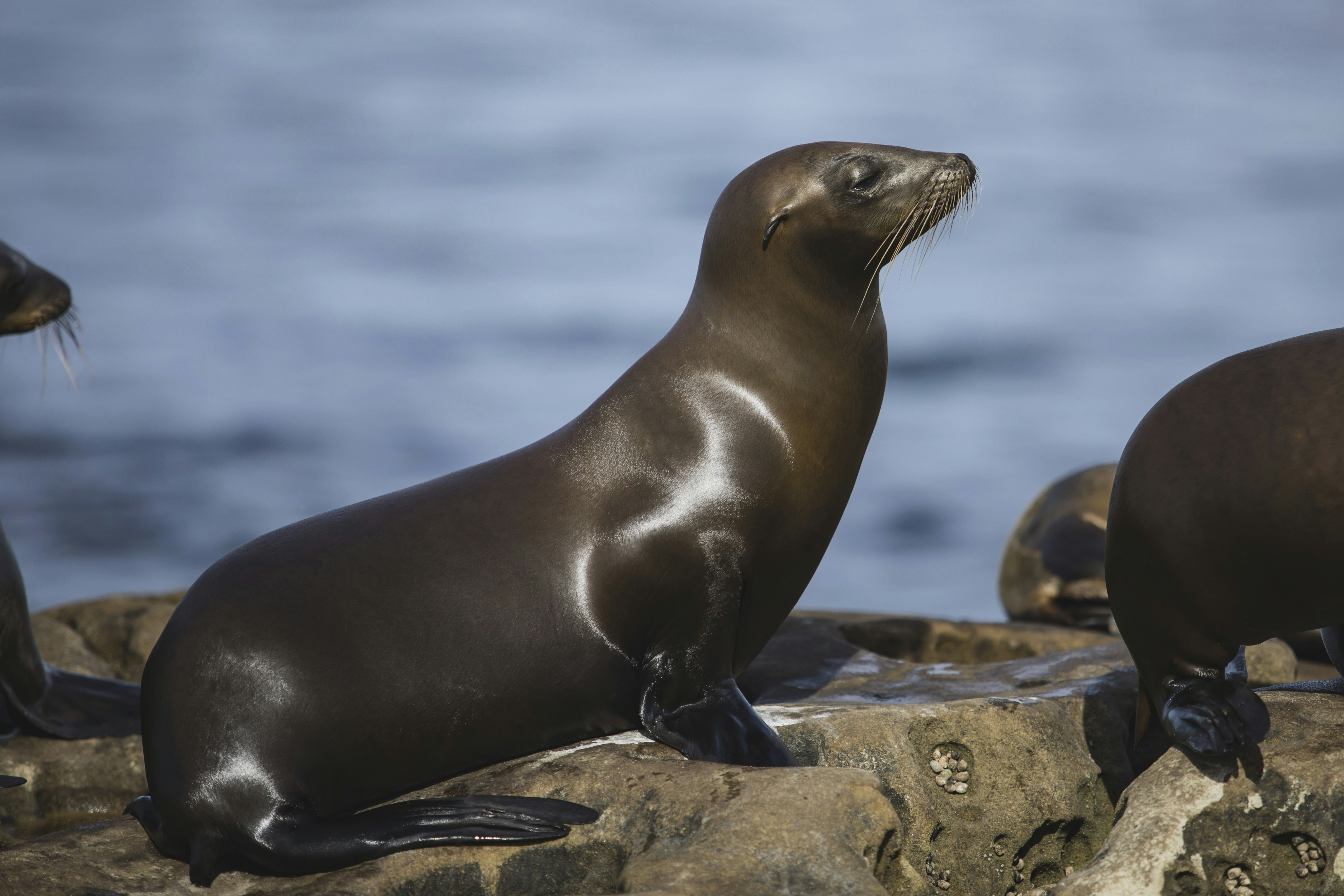 Photo by leo_visions_