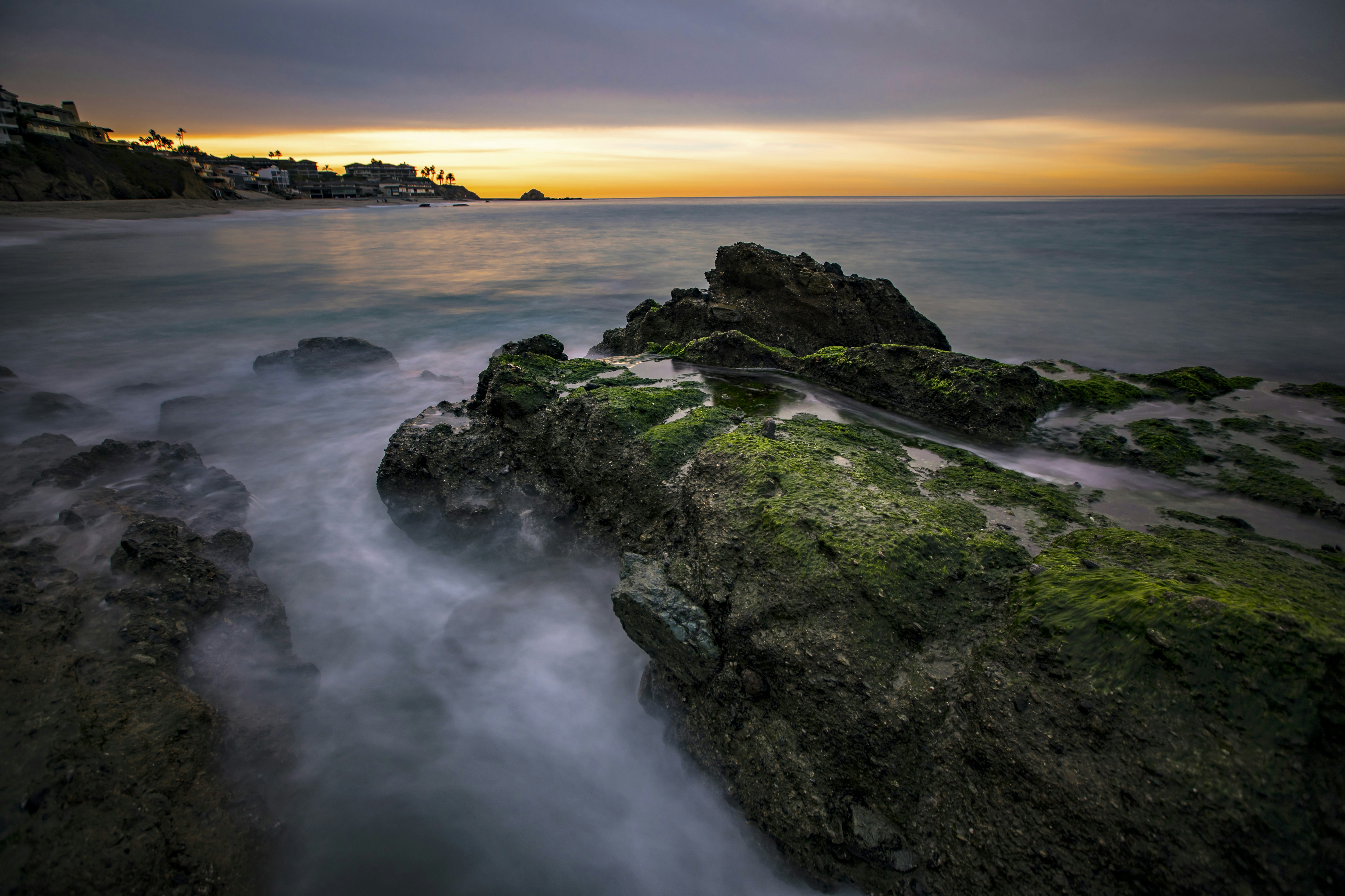 Photo by leo_visions_