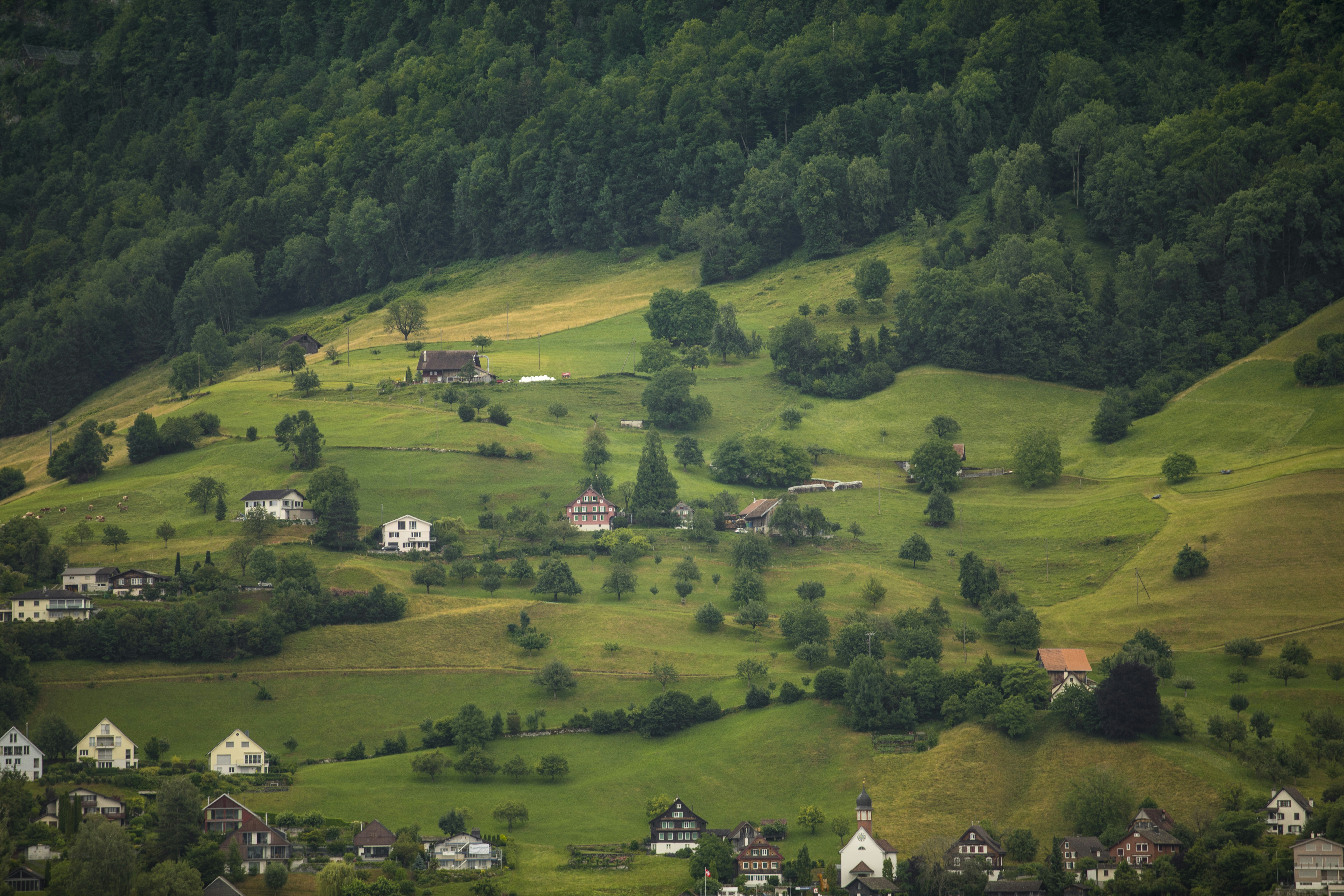 Photo by leo_visions_