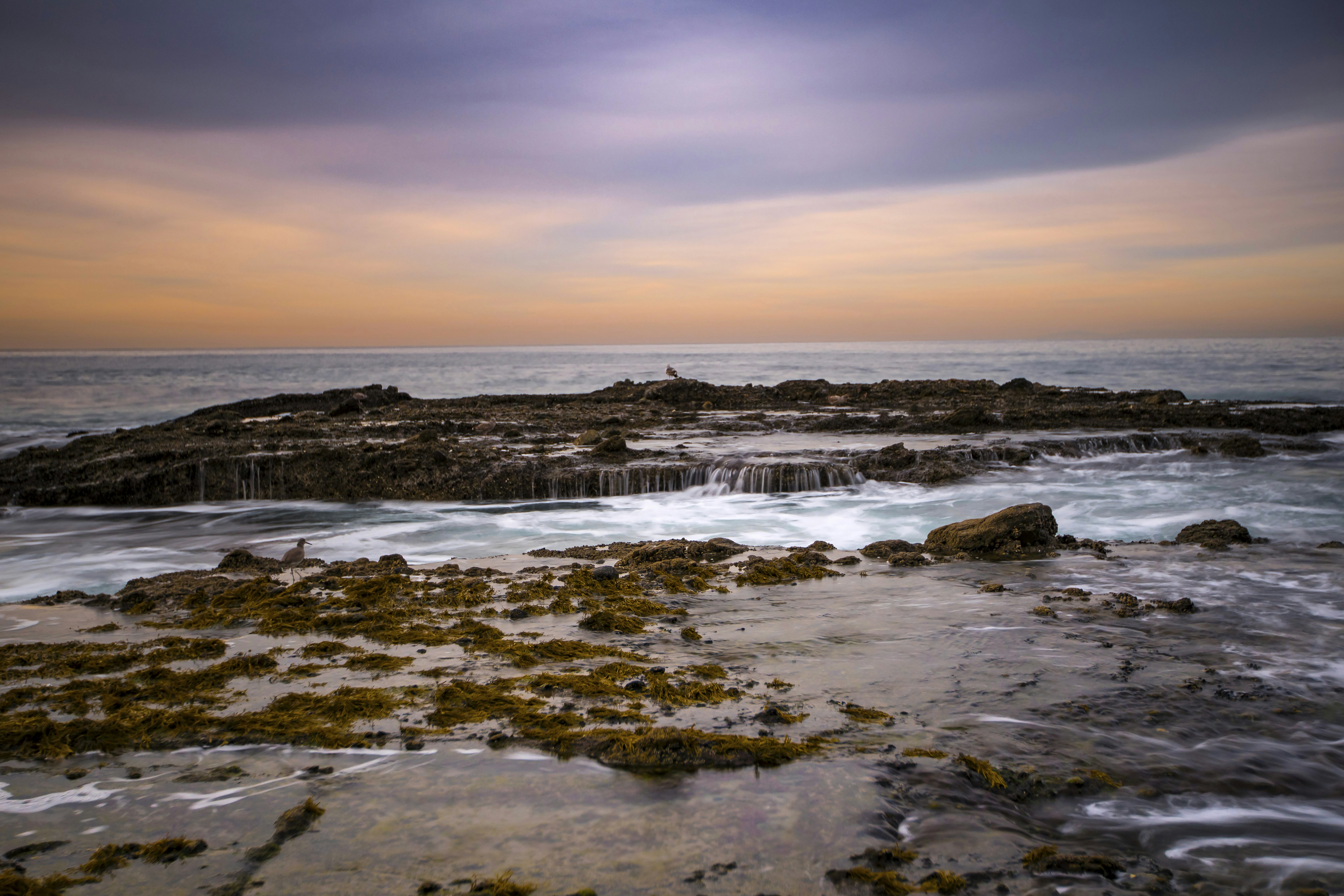 Photo by leo_visions_