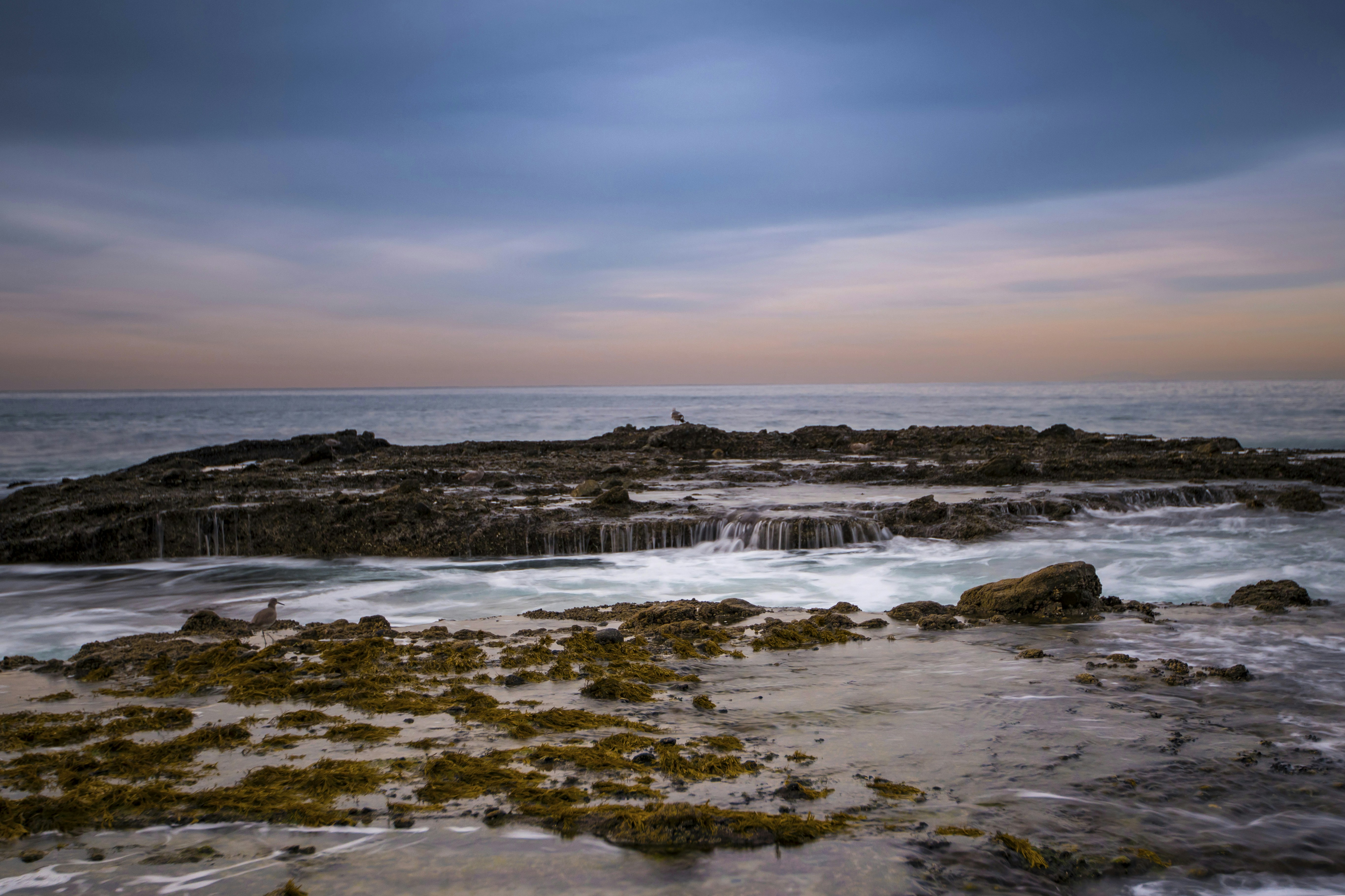 Photo by leo_visions_