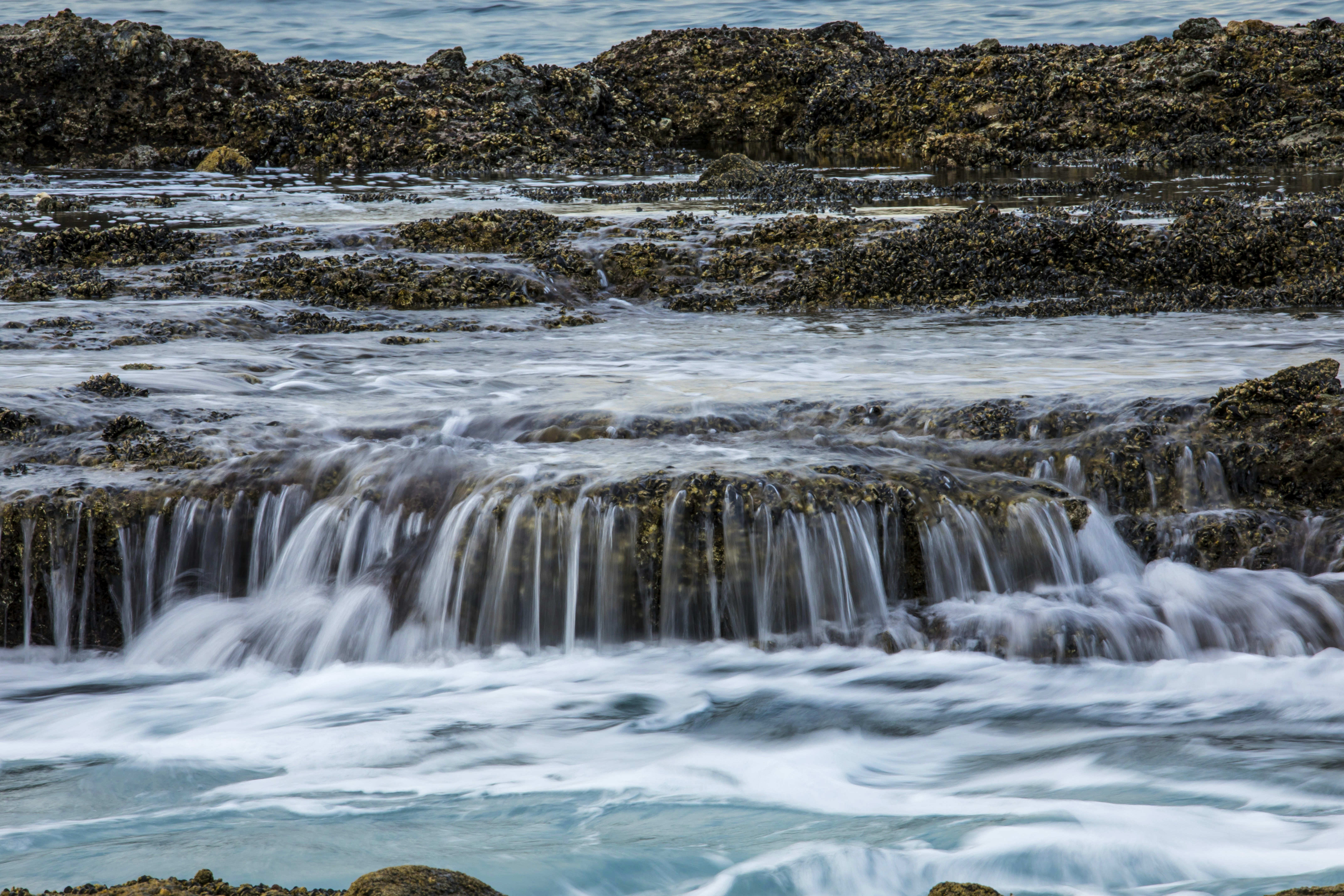 Photo by leo_visions_