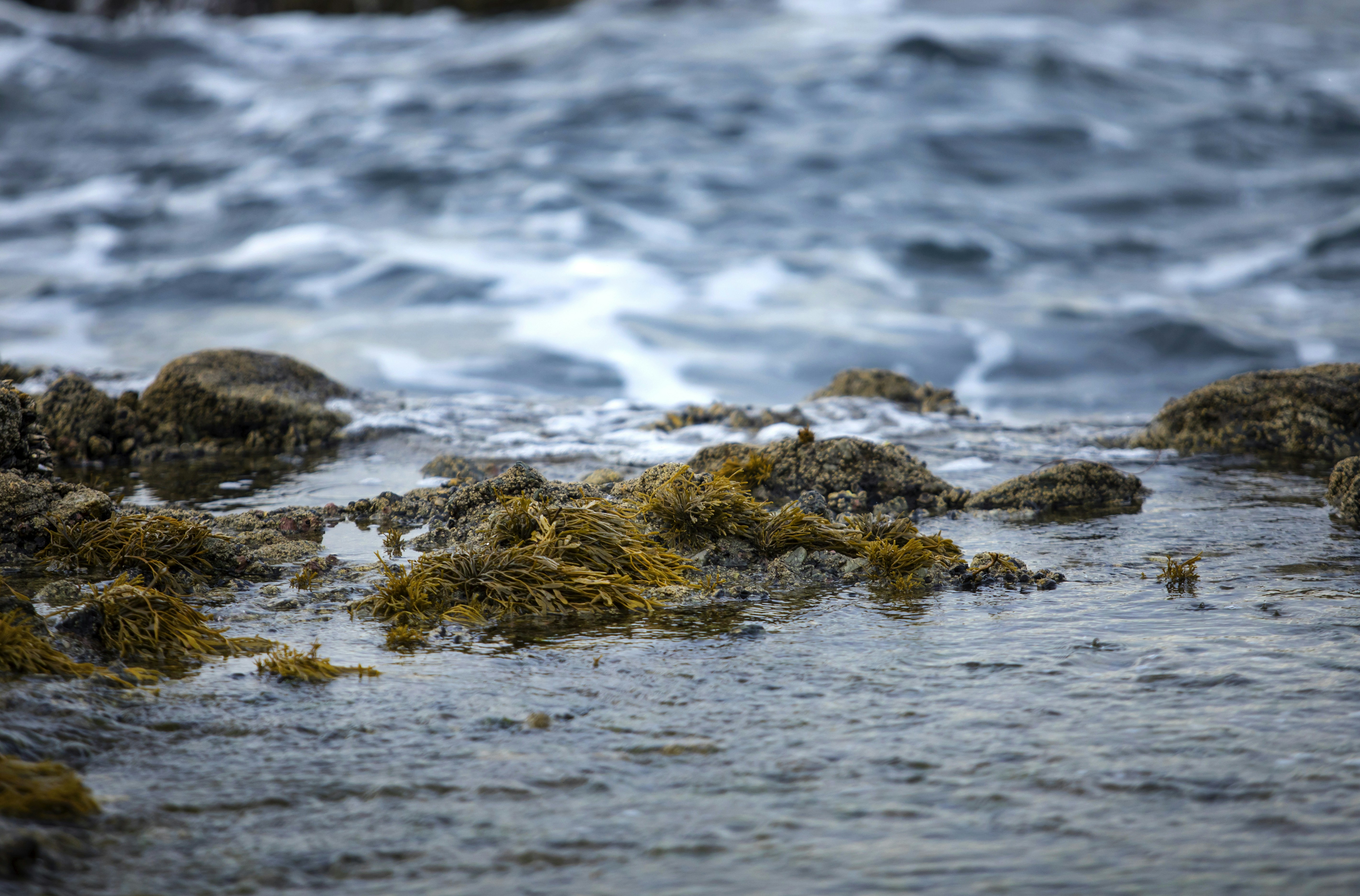 Photo by leo_visions_