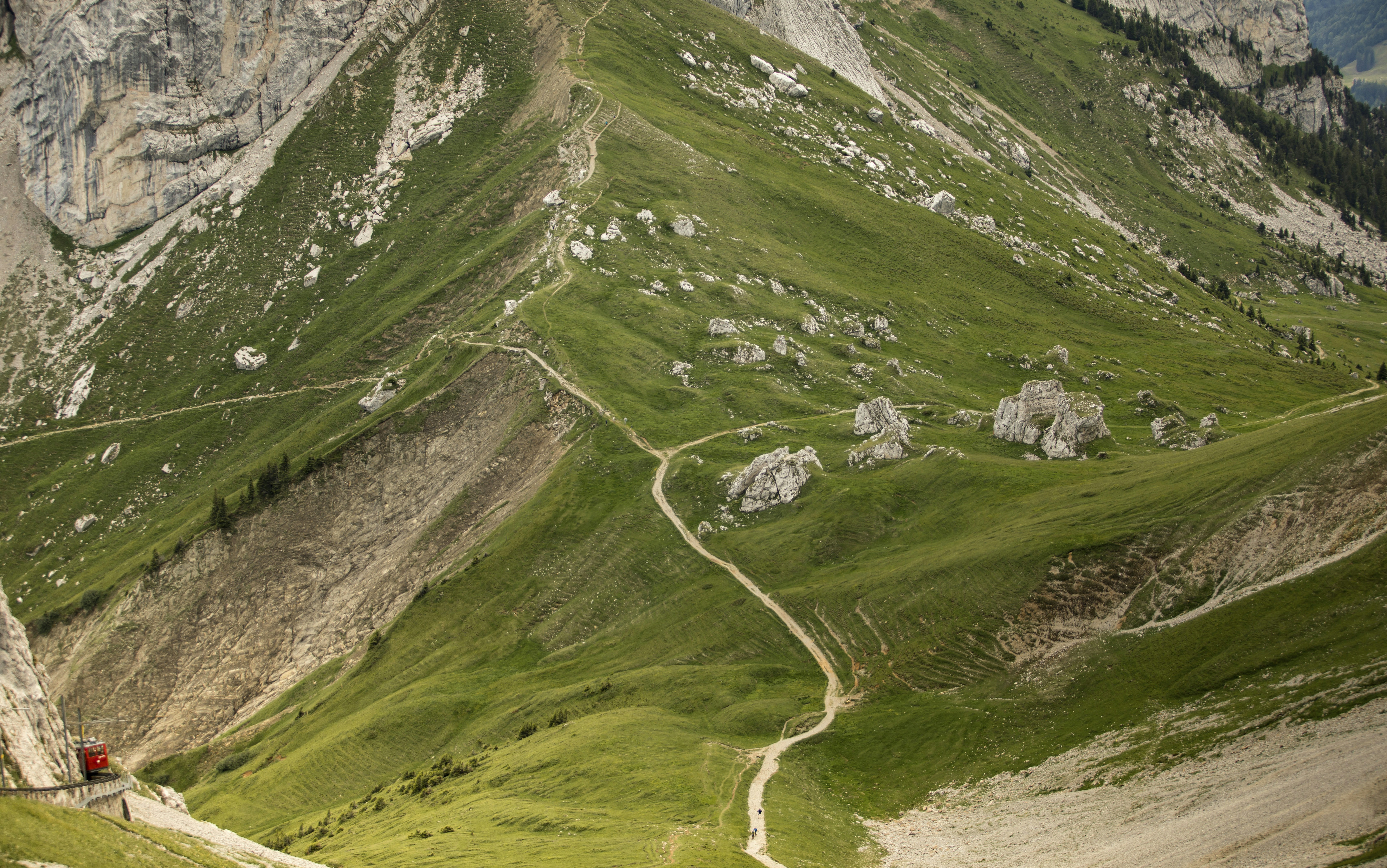 Photo by leo_visions_