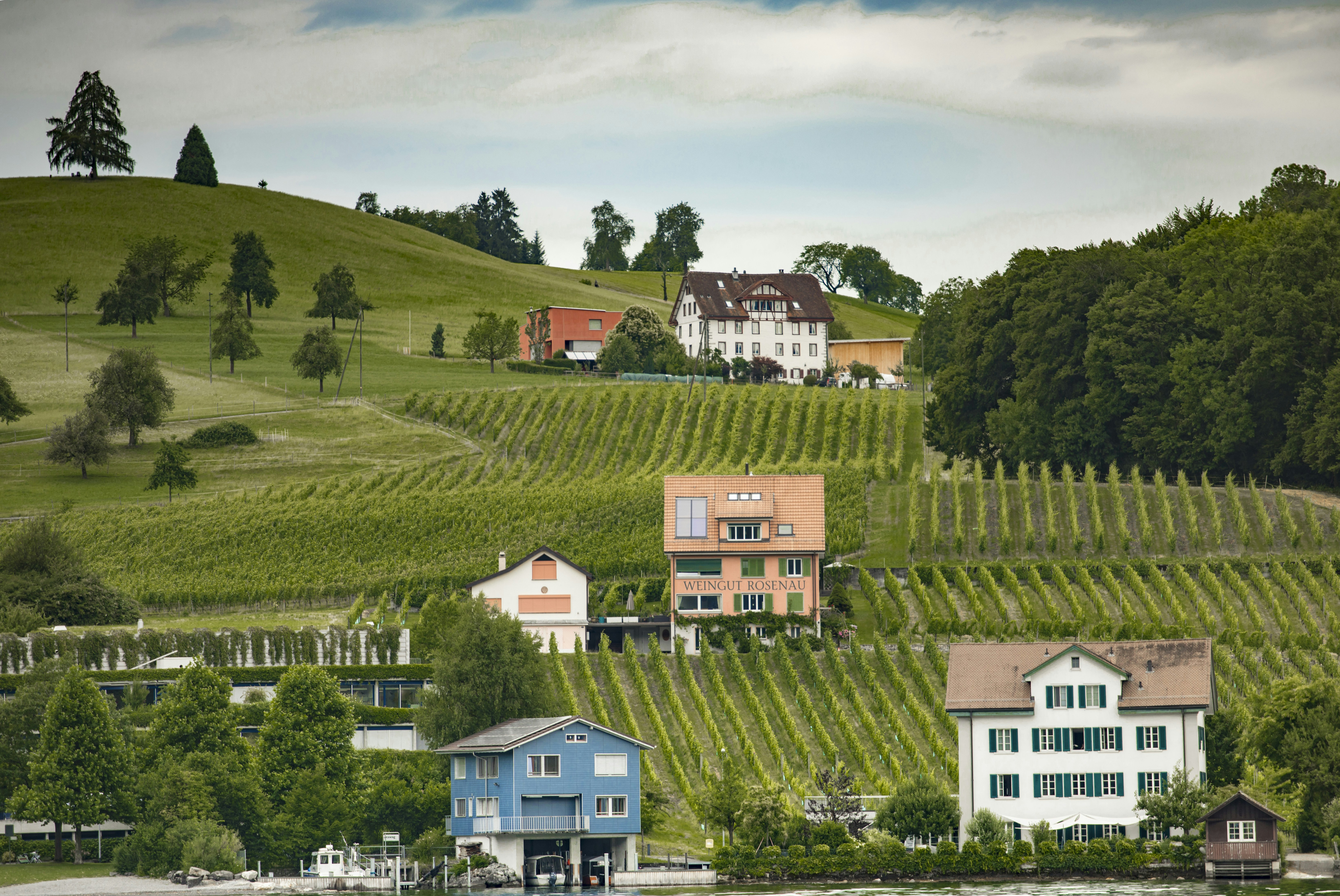 Photo by leo_visions_