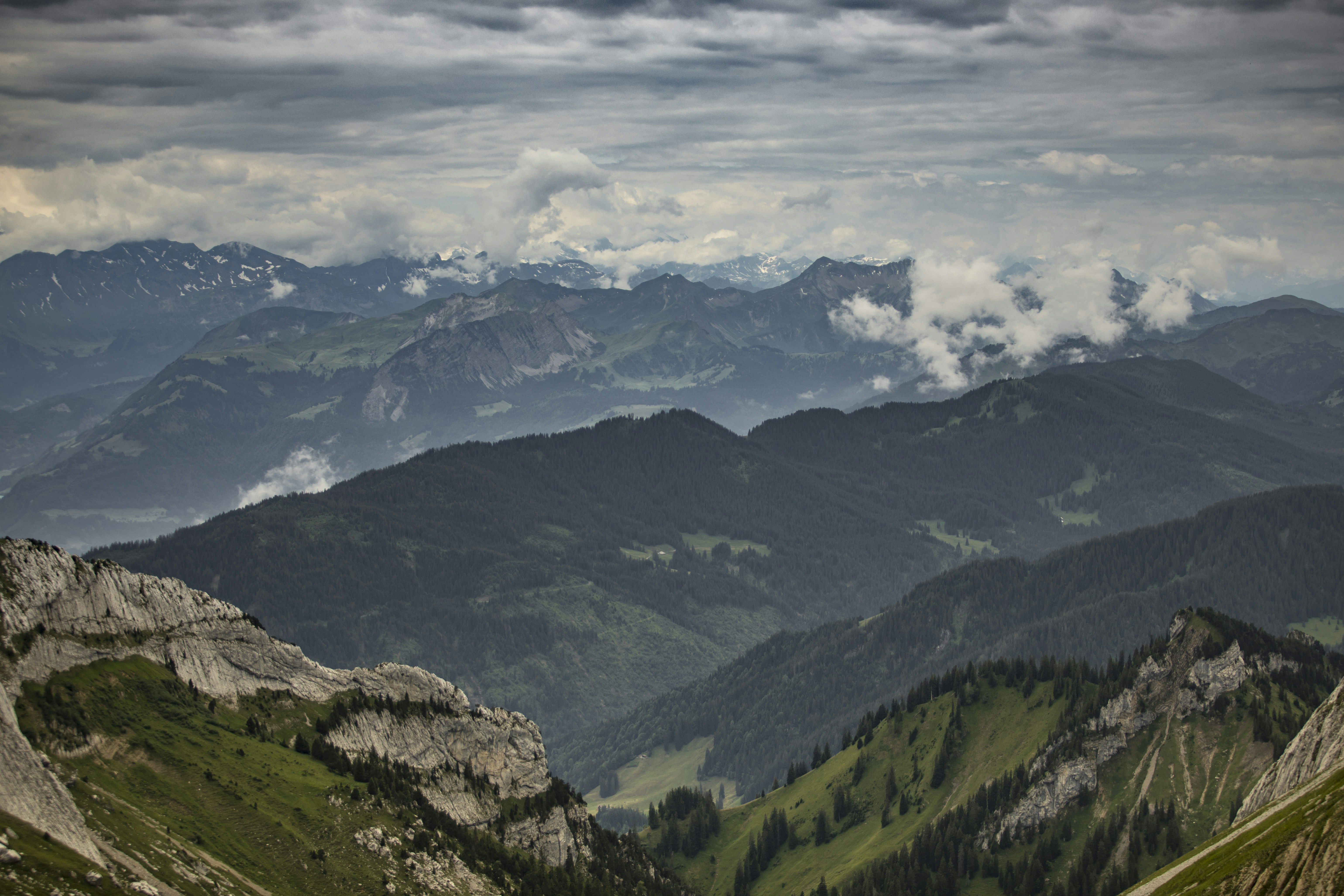 Photo by leo_visions_