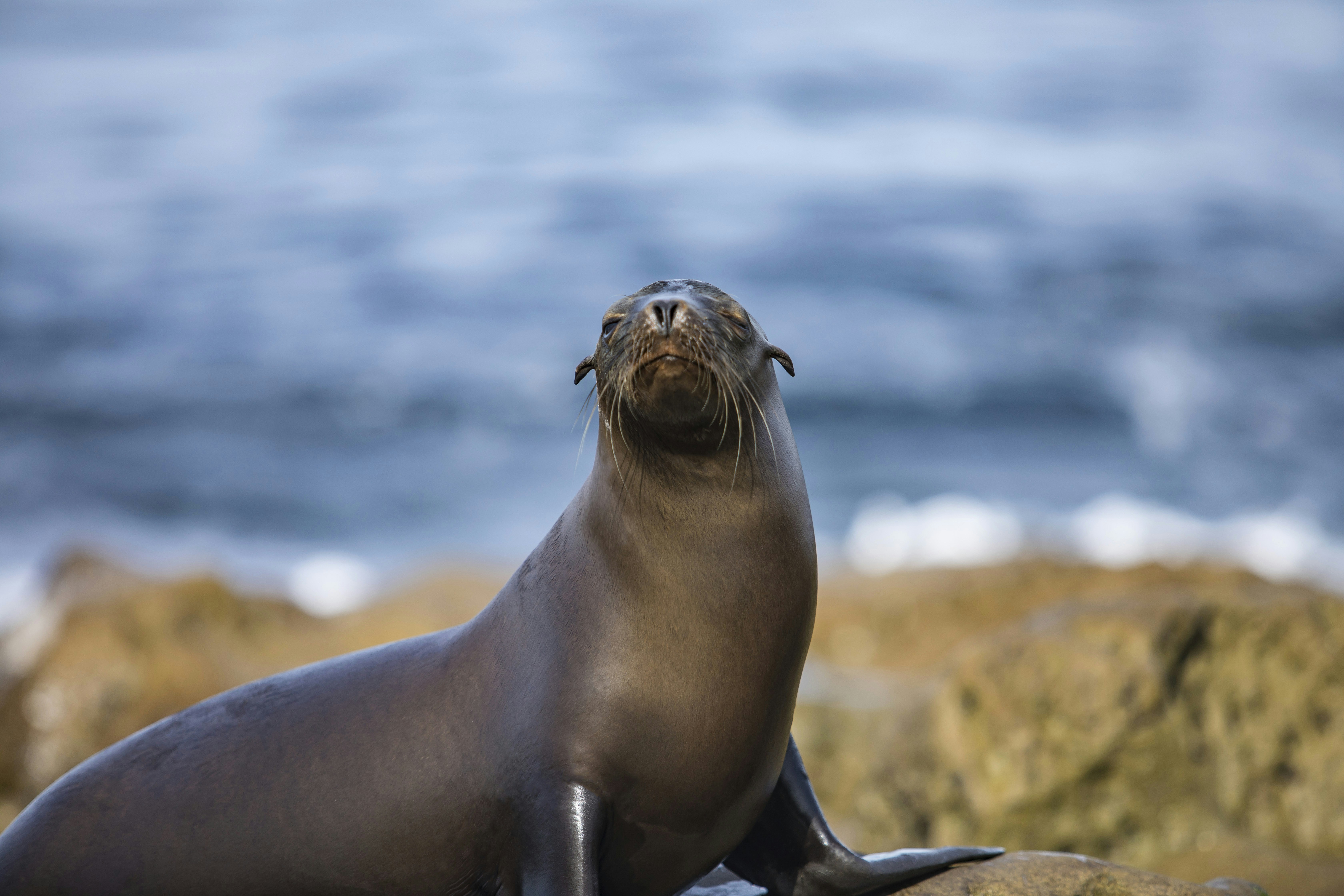 Photo by leo_visions_