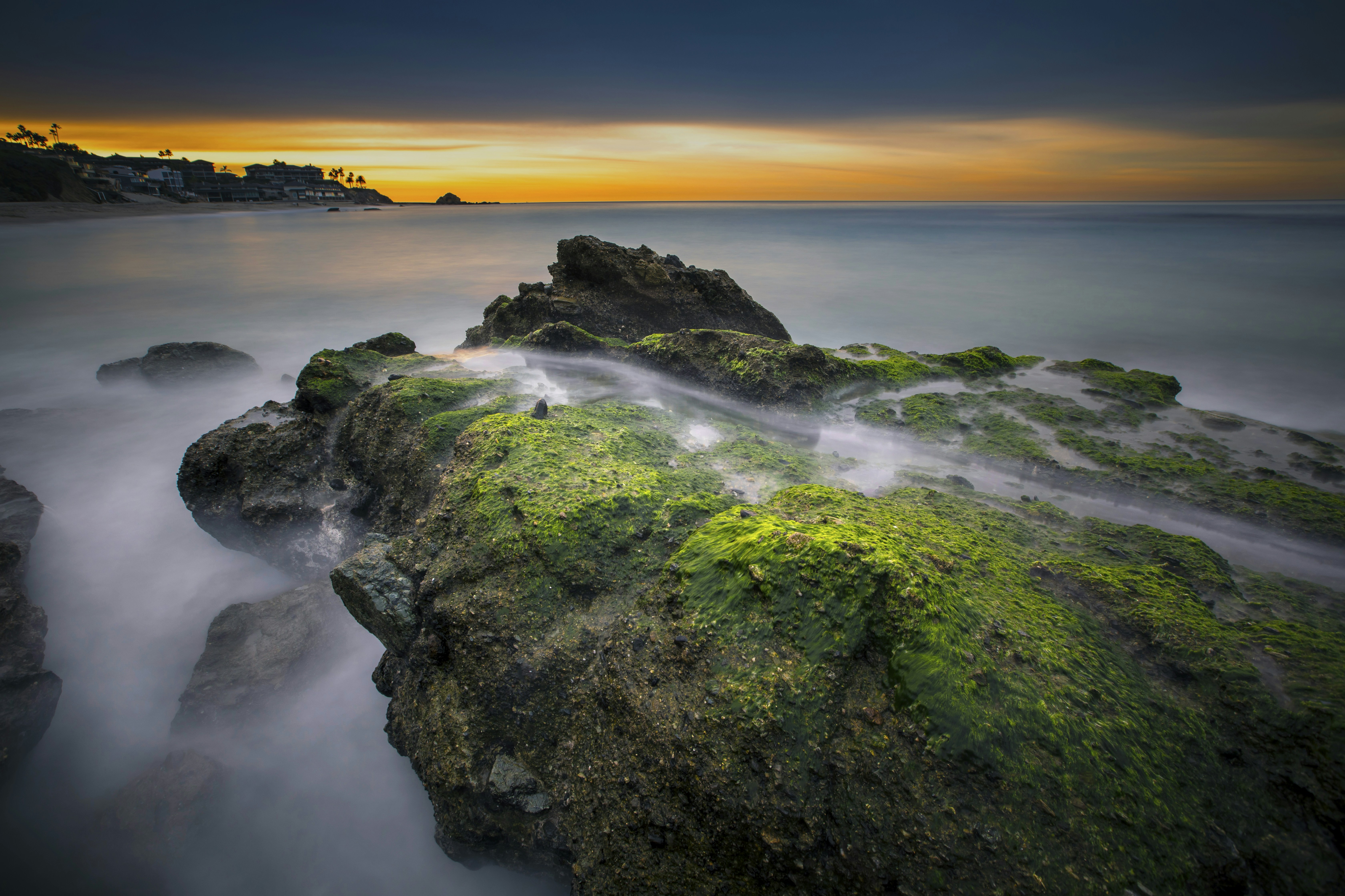 Photo by leo_visions_