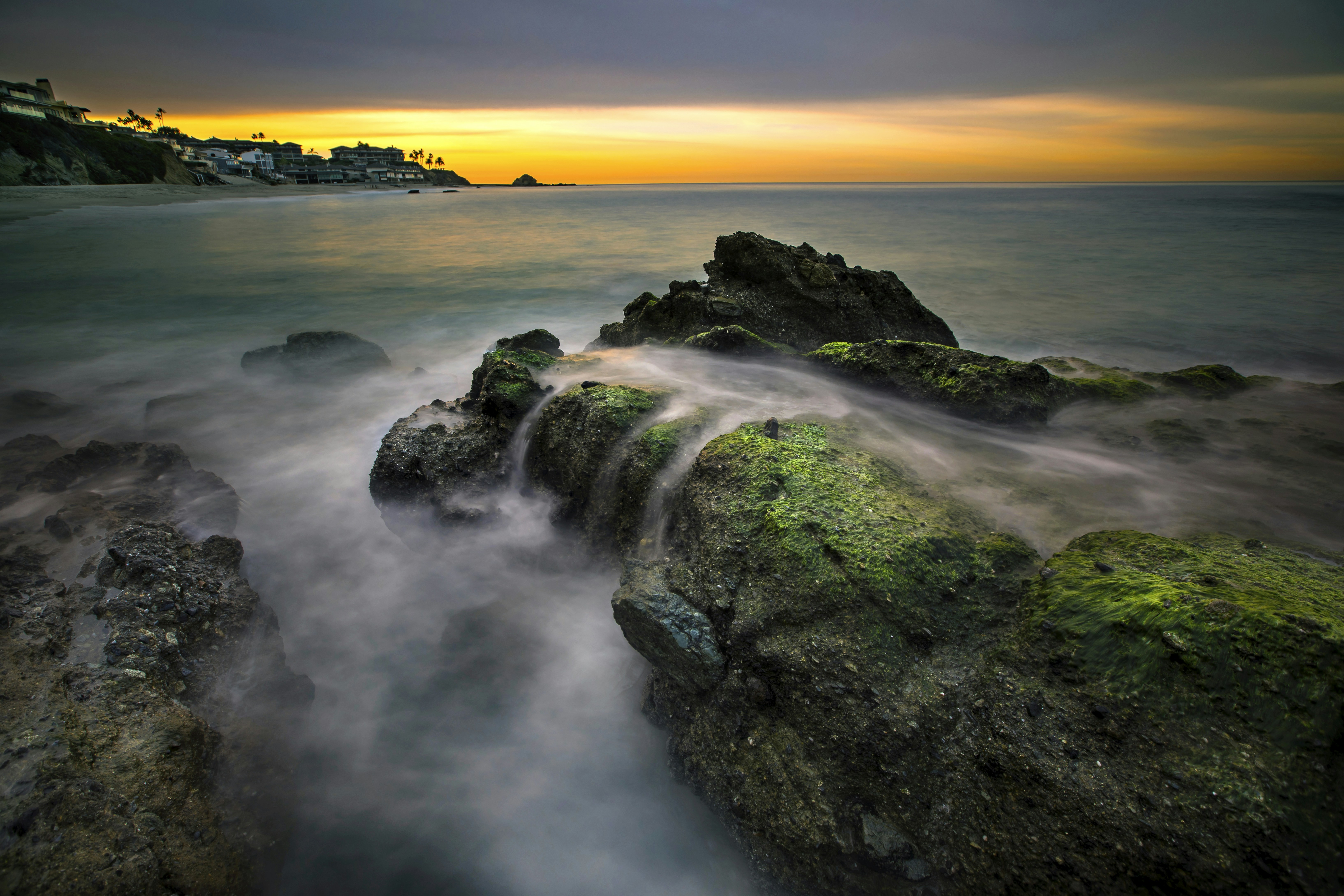 Photo by leo_visions_