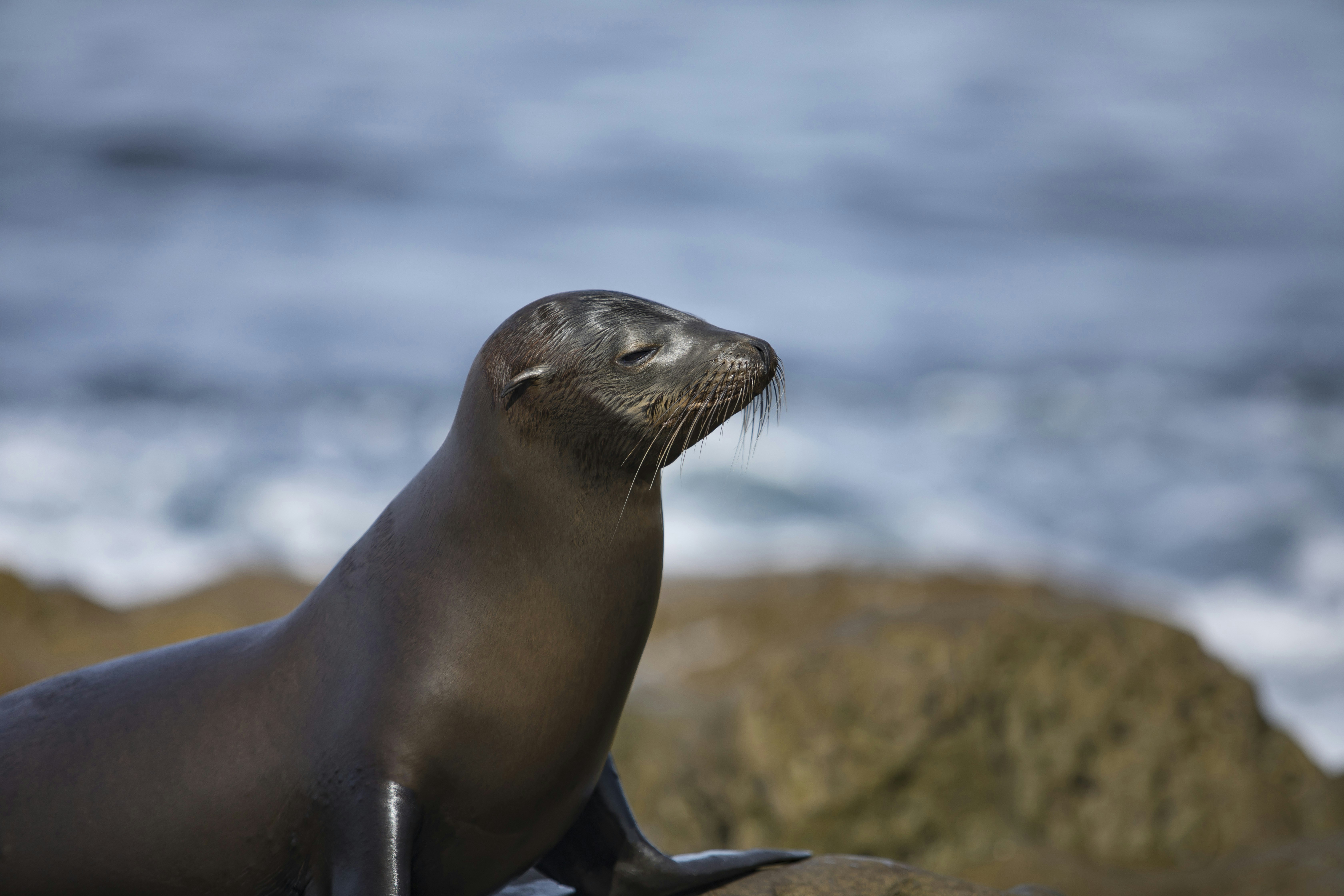 Photo by leo_visions_