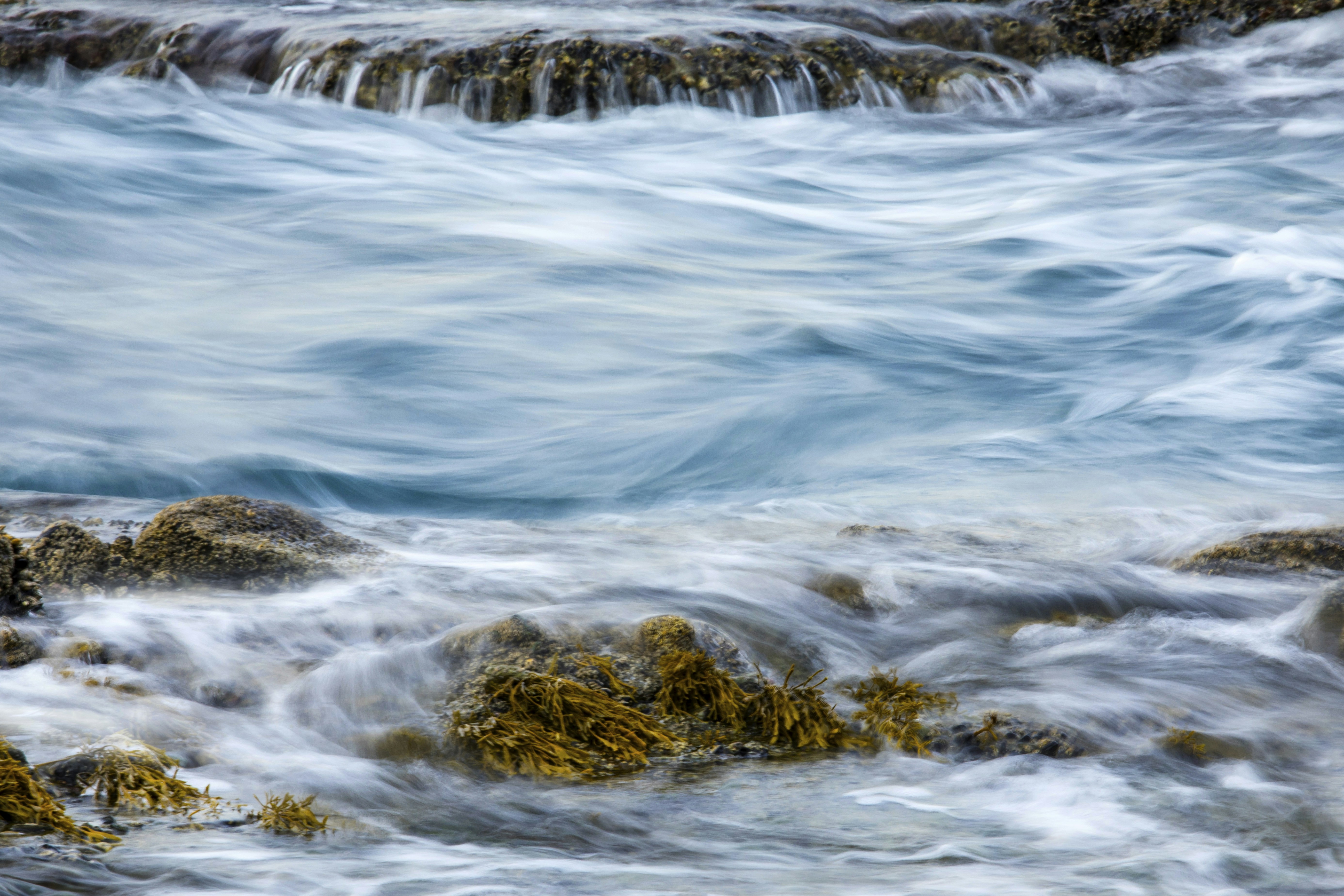 Photo by leo_visions_