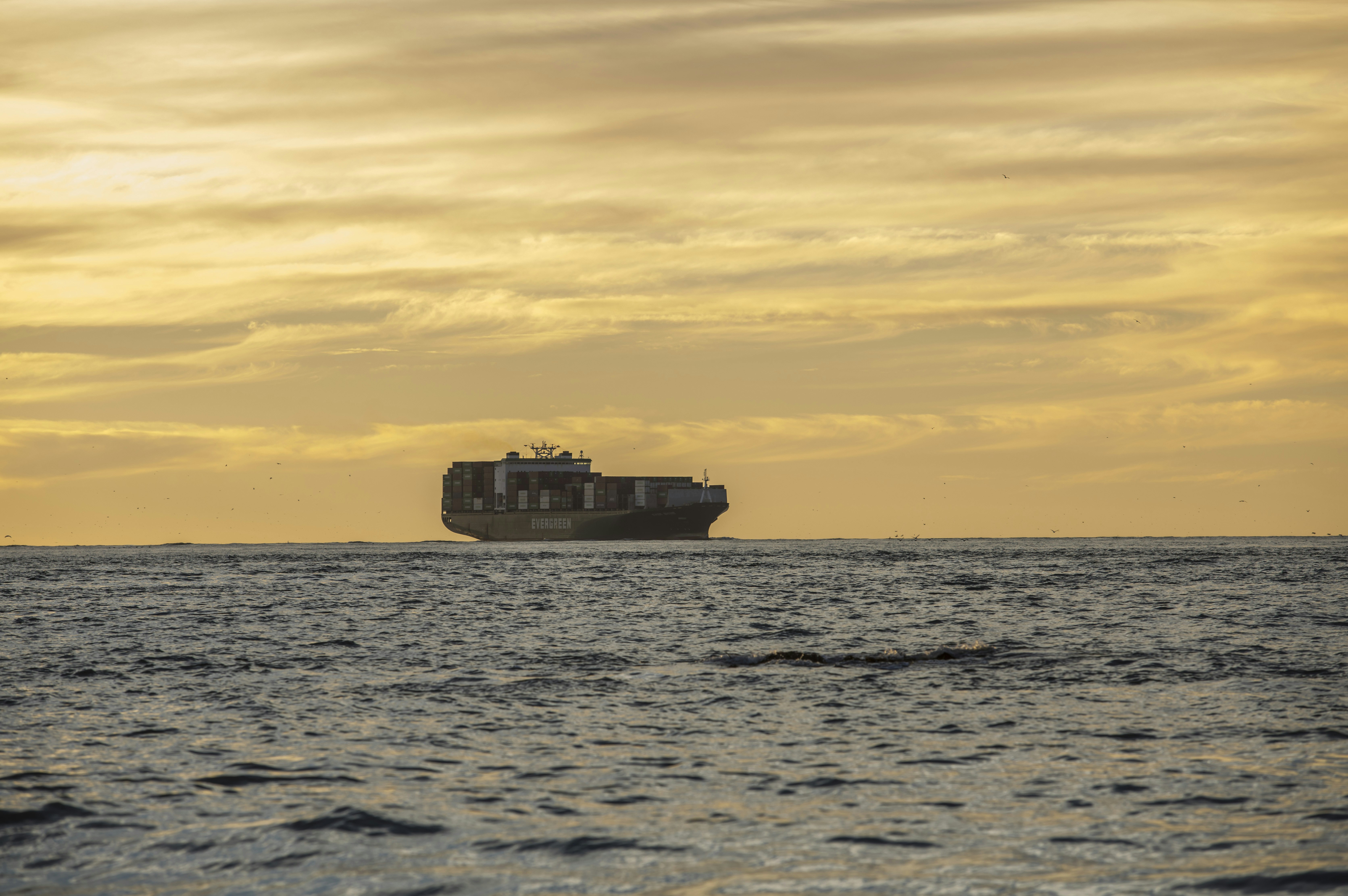 Photo by leo_visions_