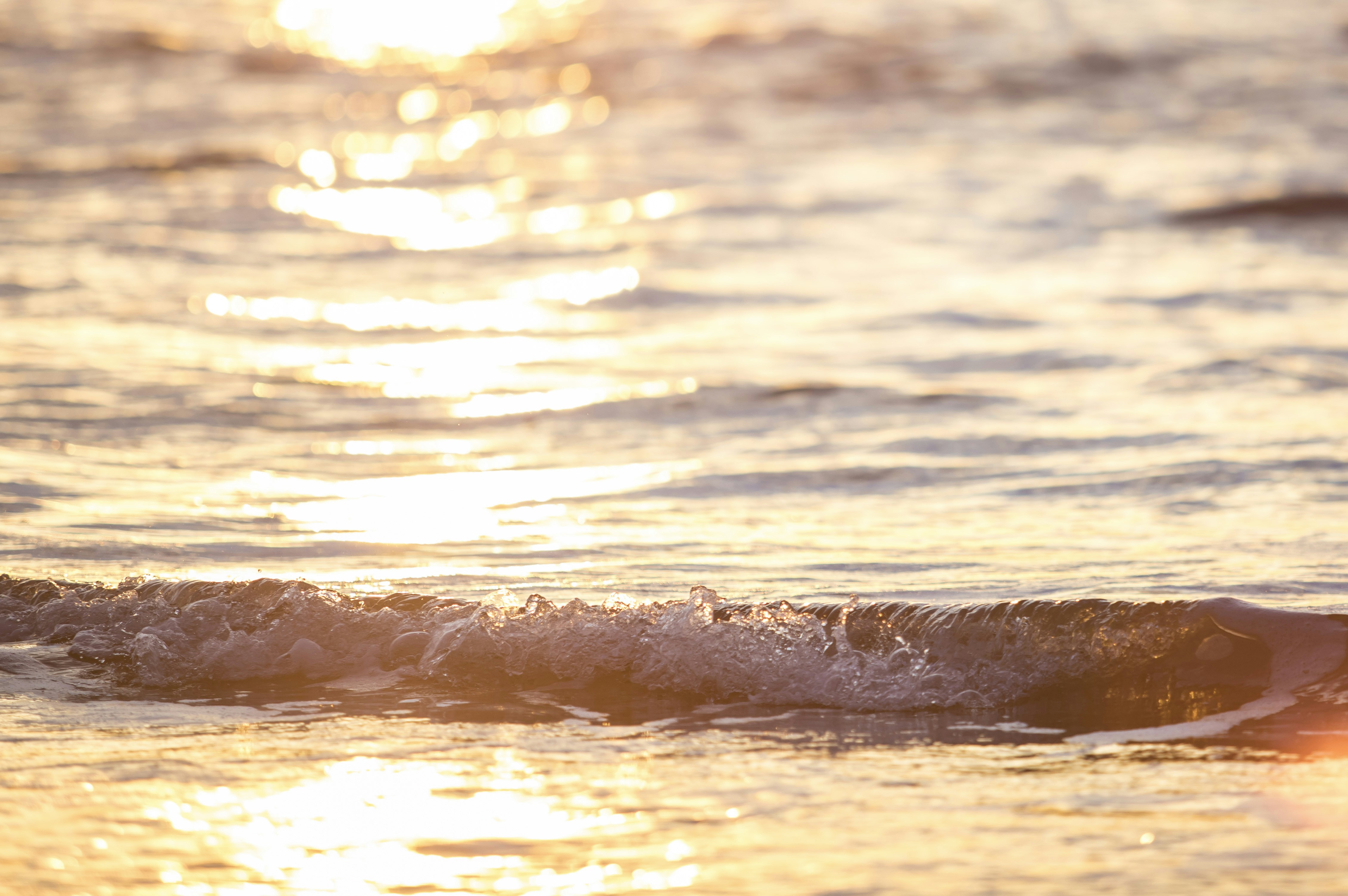 Photo by leo_visions_