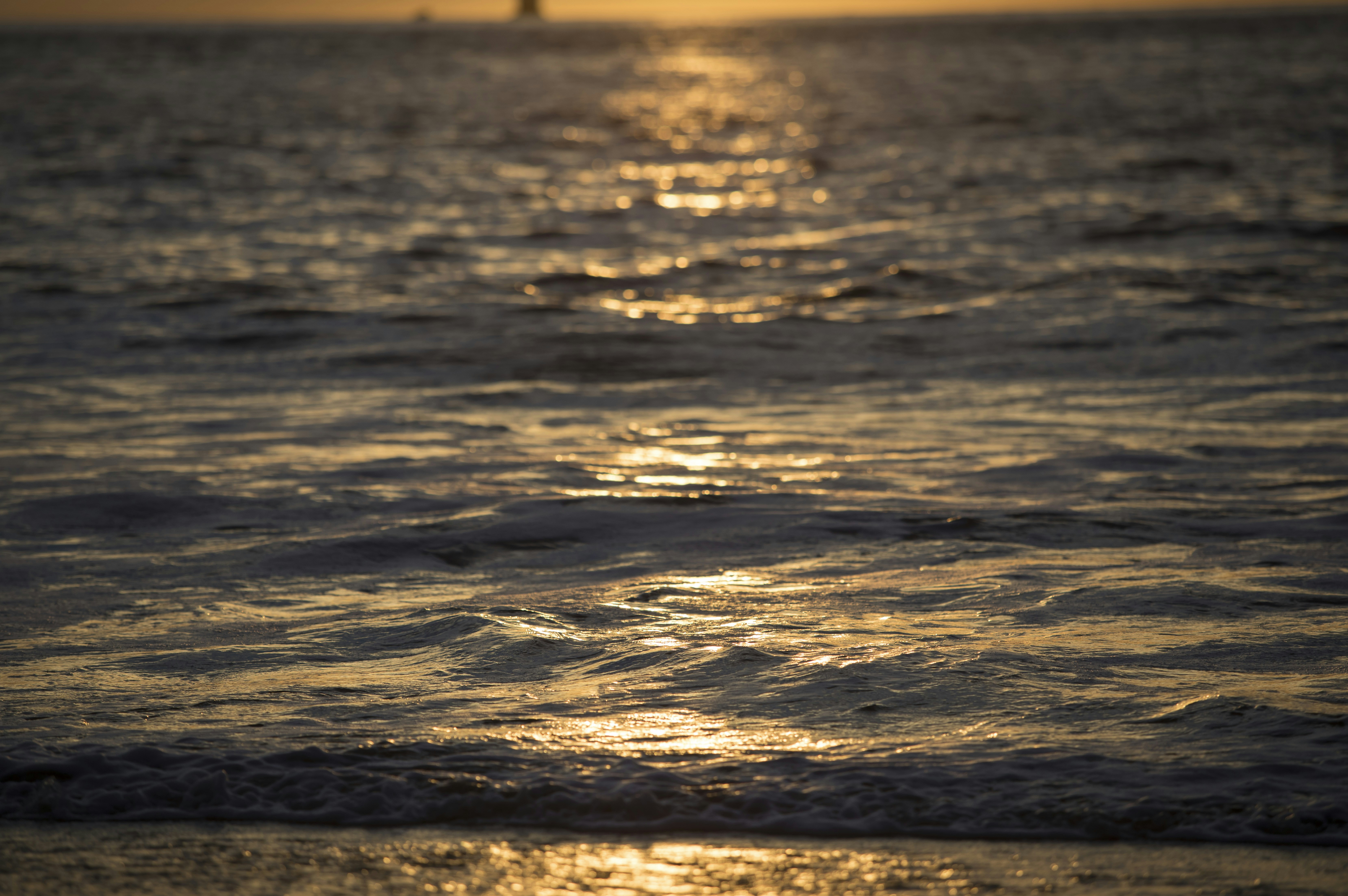 Photo by leo_visions_