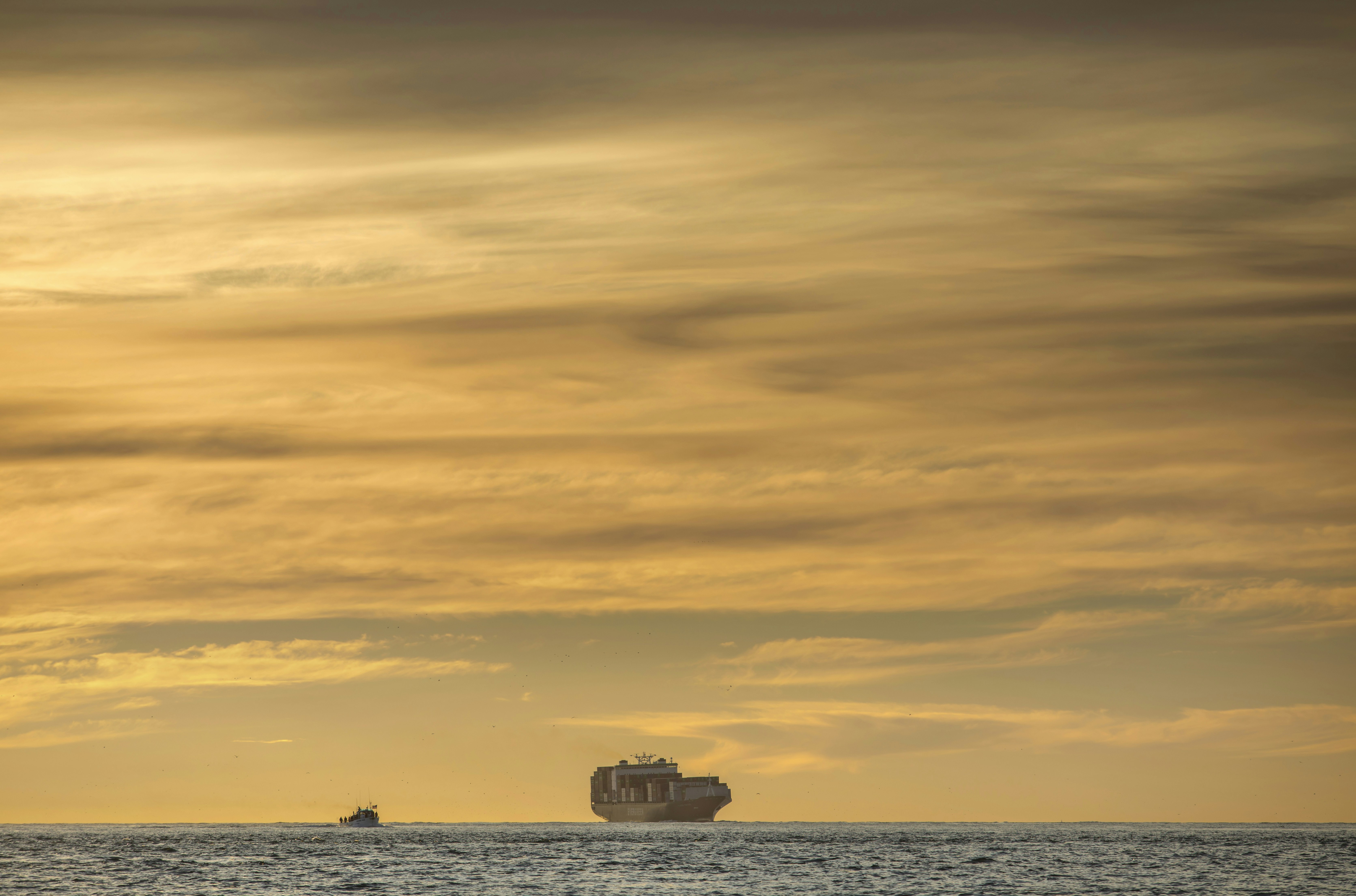 Photo by leo_visions_