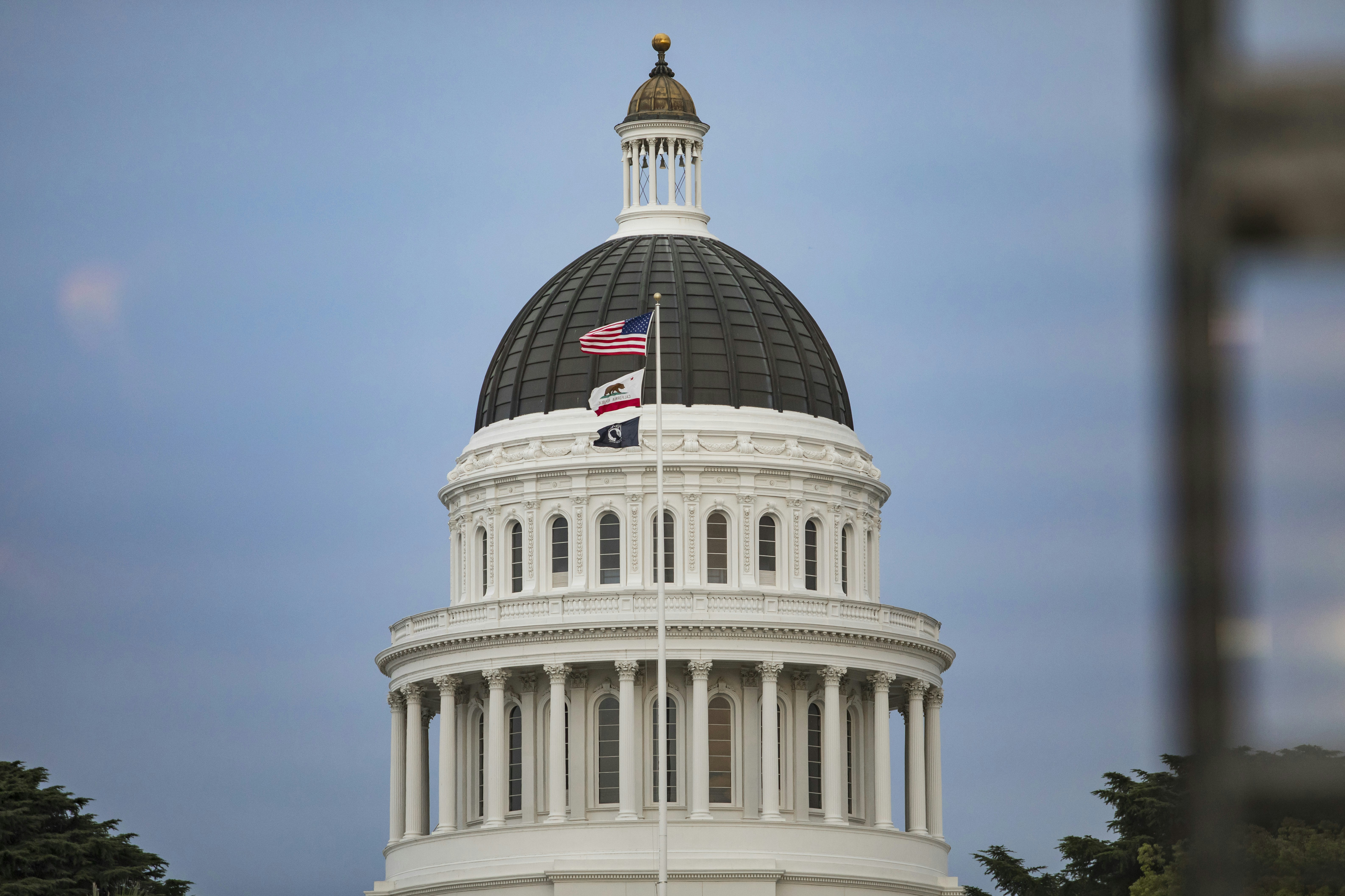 The 28 state colleges remove sociology as a general education course — Photo by Leo_Visions on Unsplash
