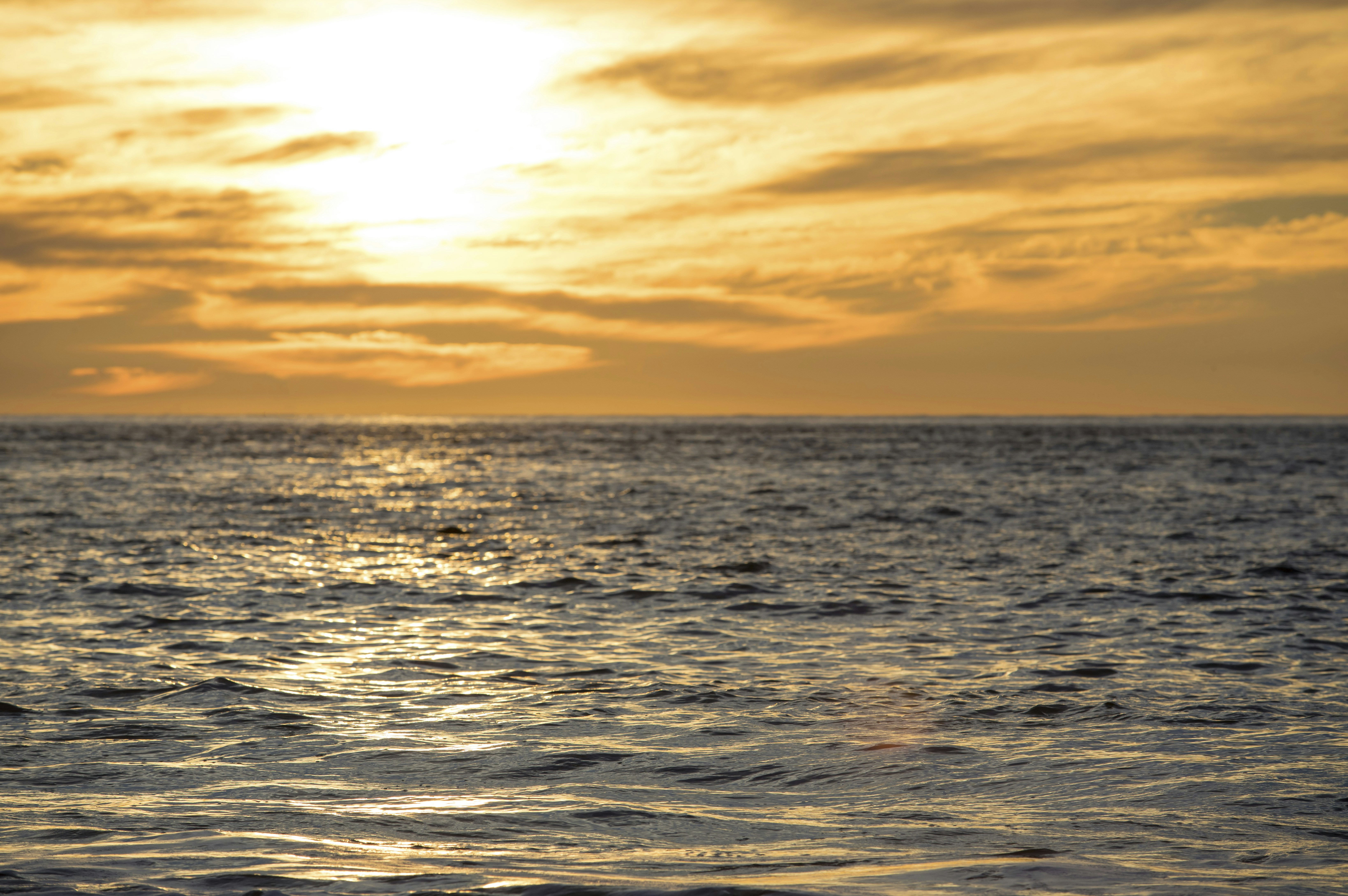 Photo by leo_visions_