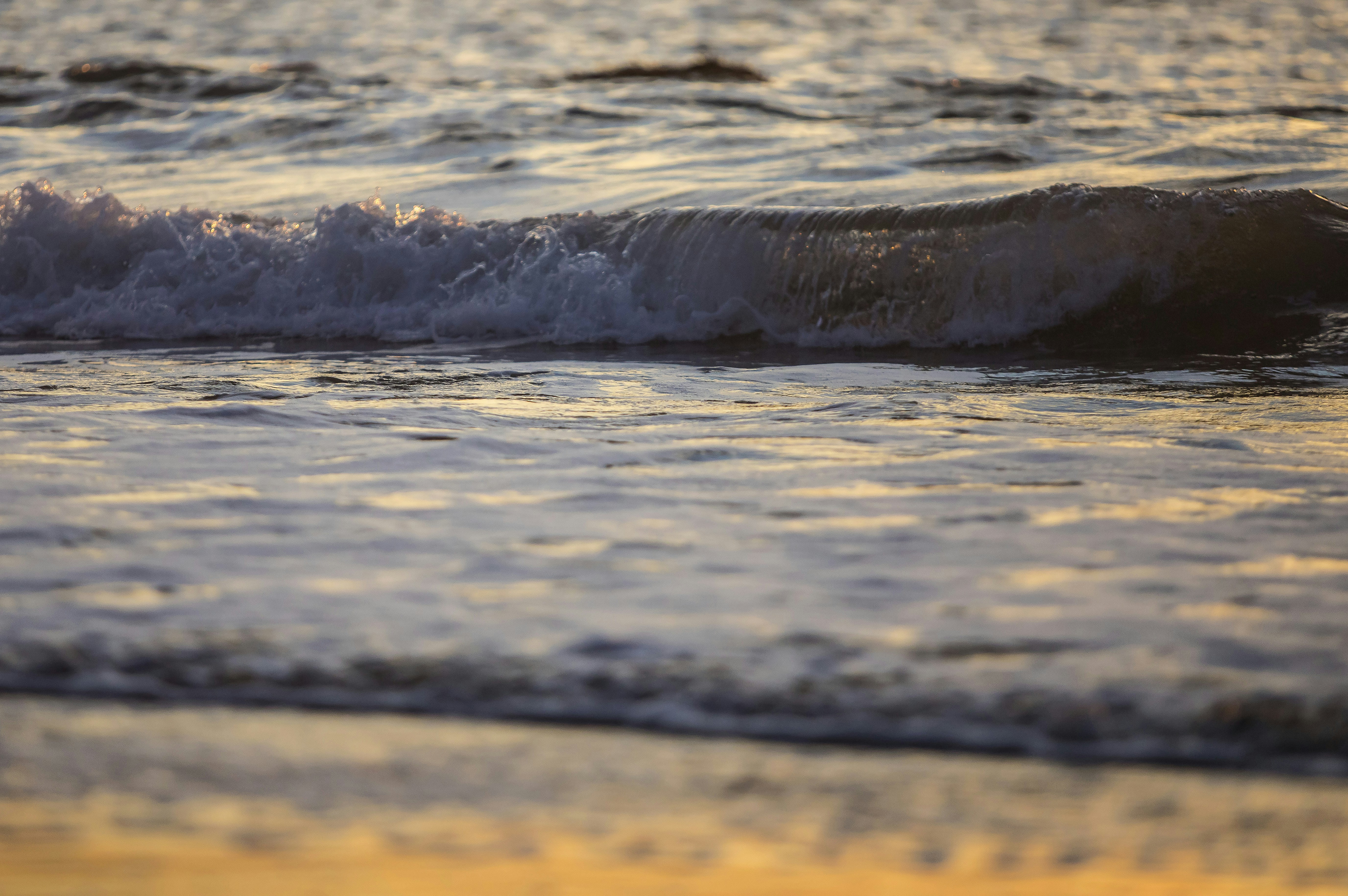 Photo by leo_visions_