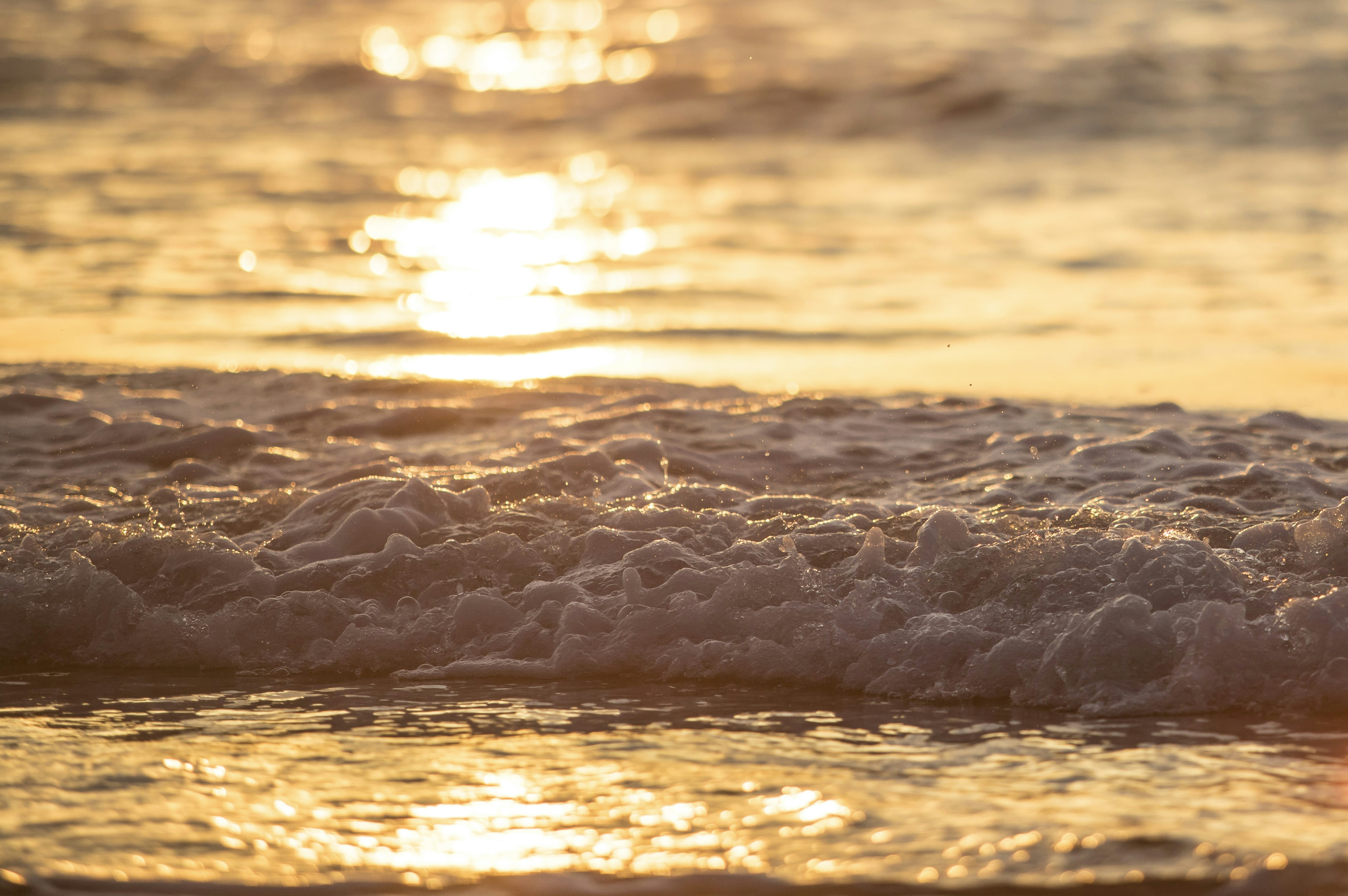 Photo by leo_visions_