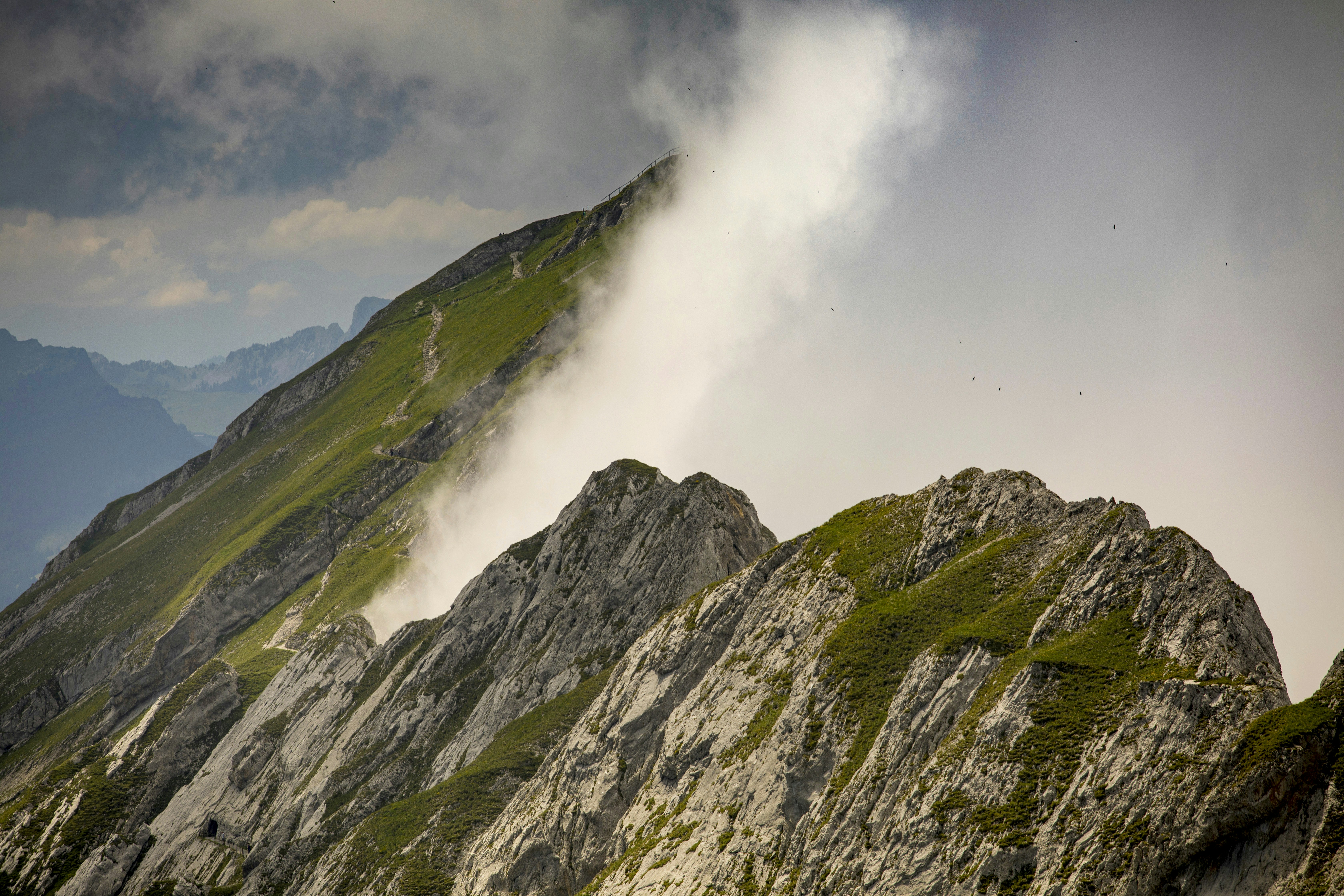 Photo by leo_visions_